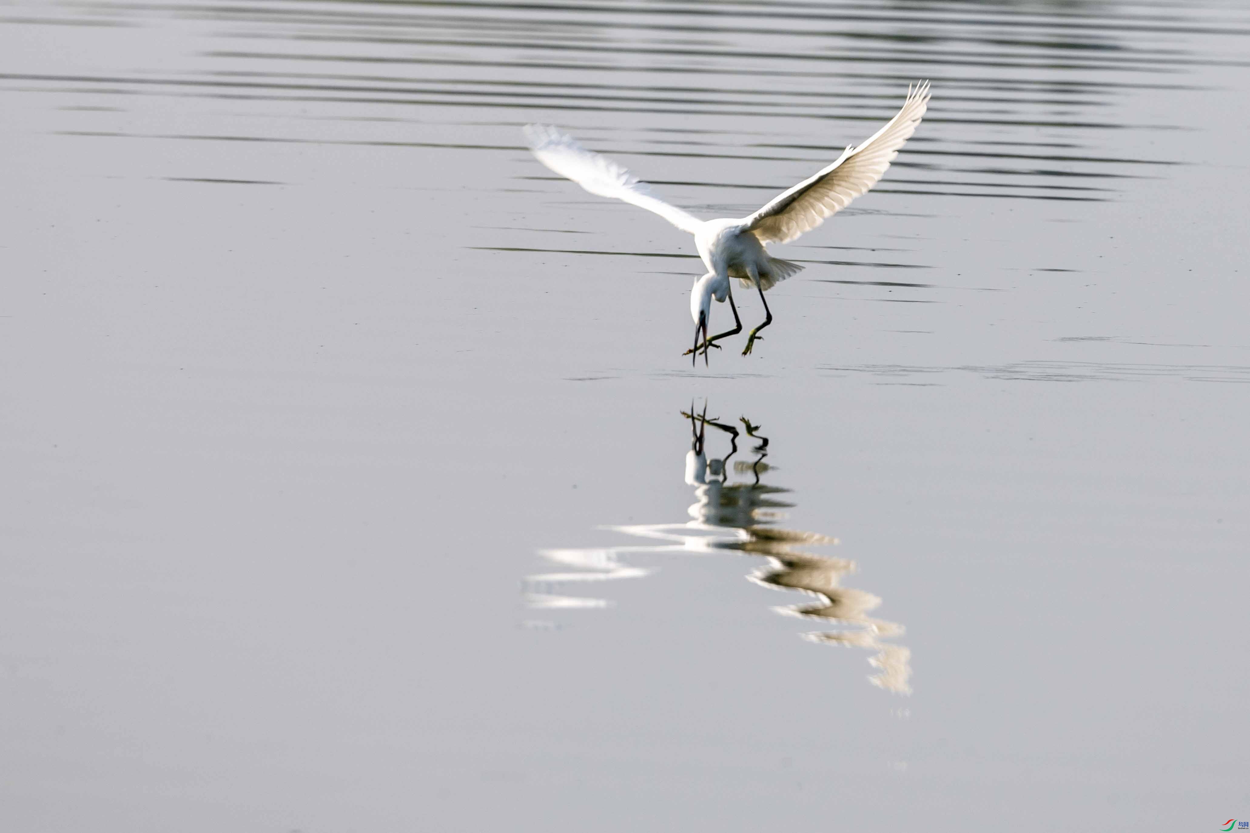 _DSC7152 ���� 2.jpg