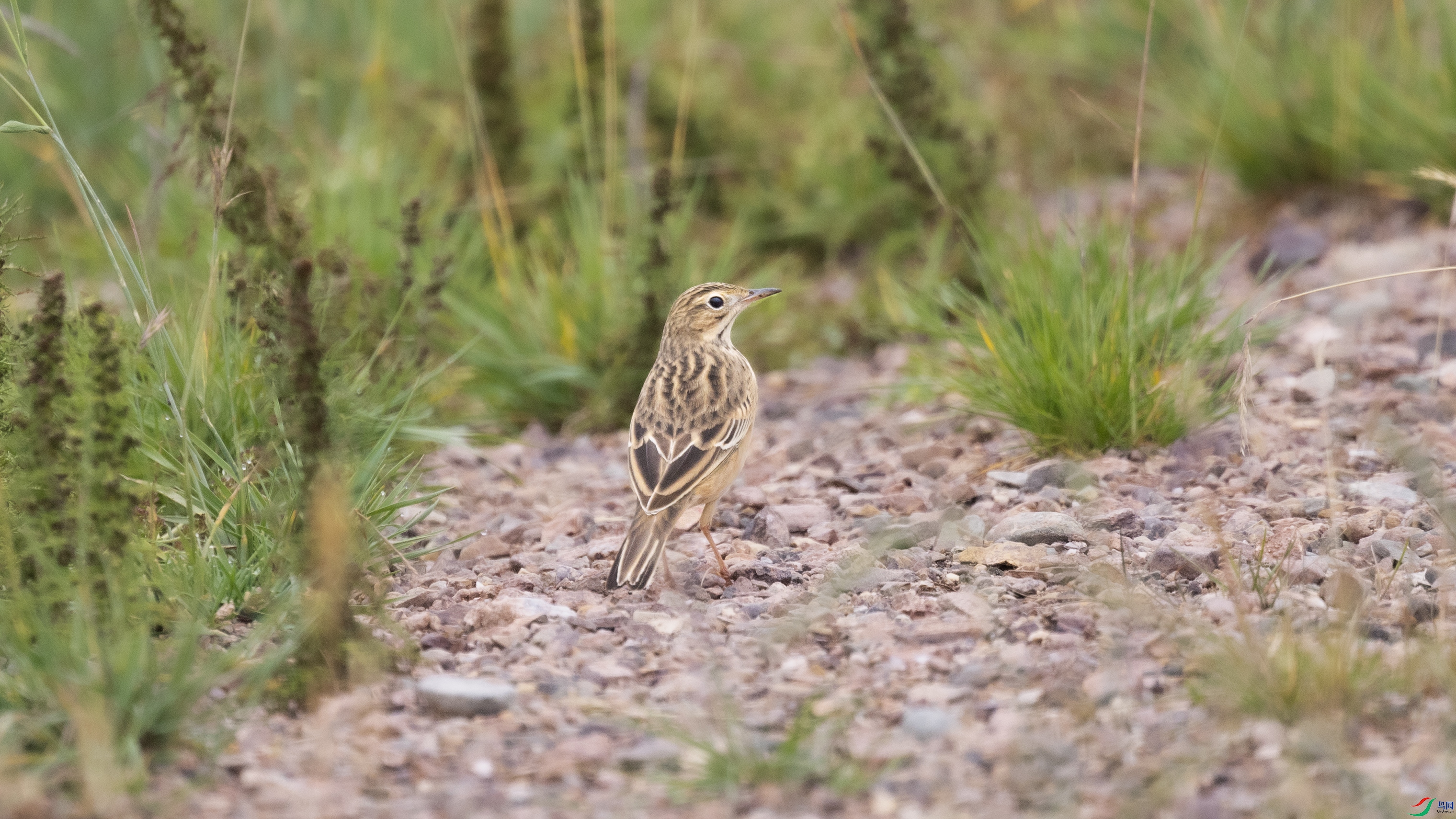 7X5A9360 ����4444.jpg