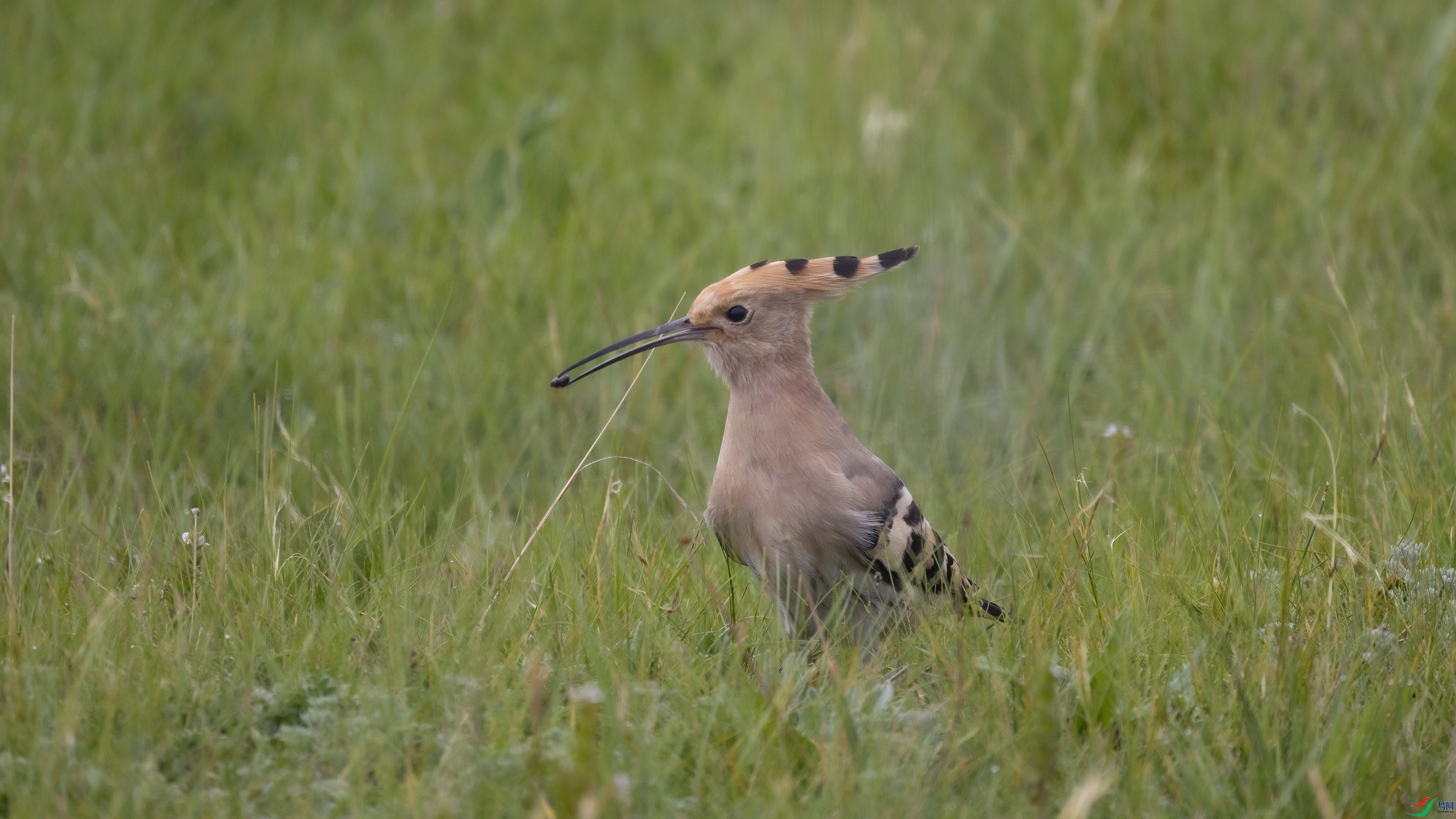 7X5A9395 ����4444.jpg