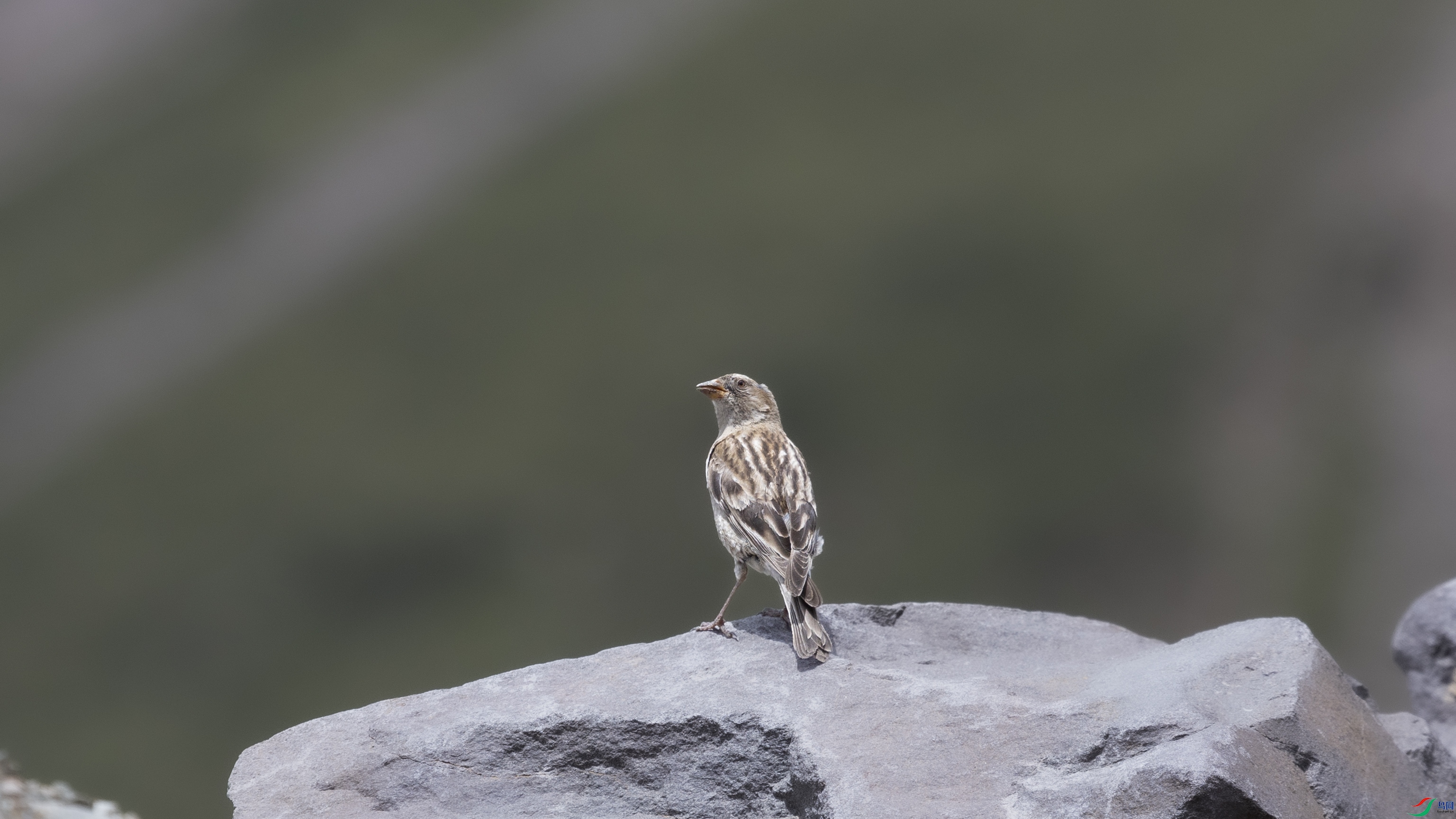 7X5A9844 ����44444.jpg