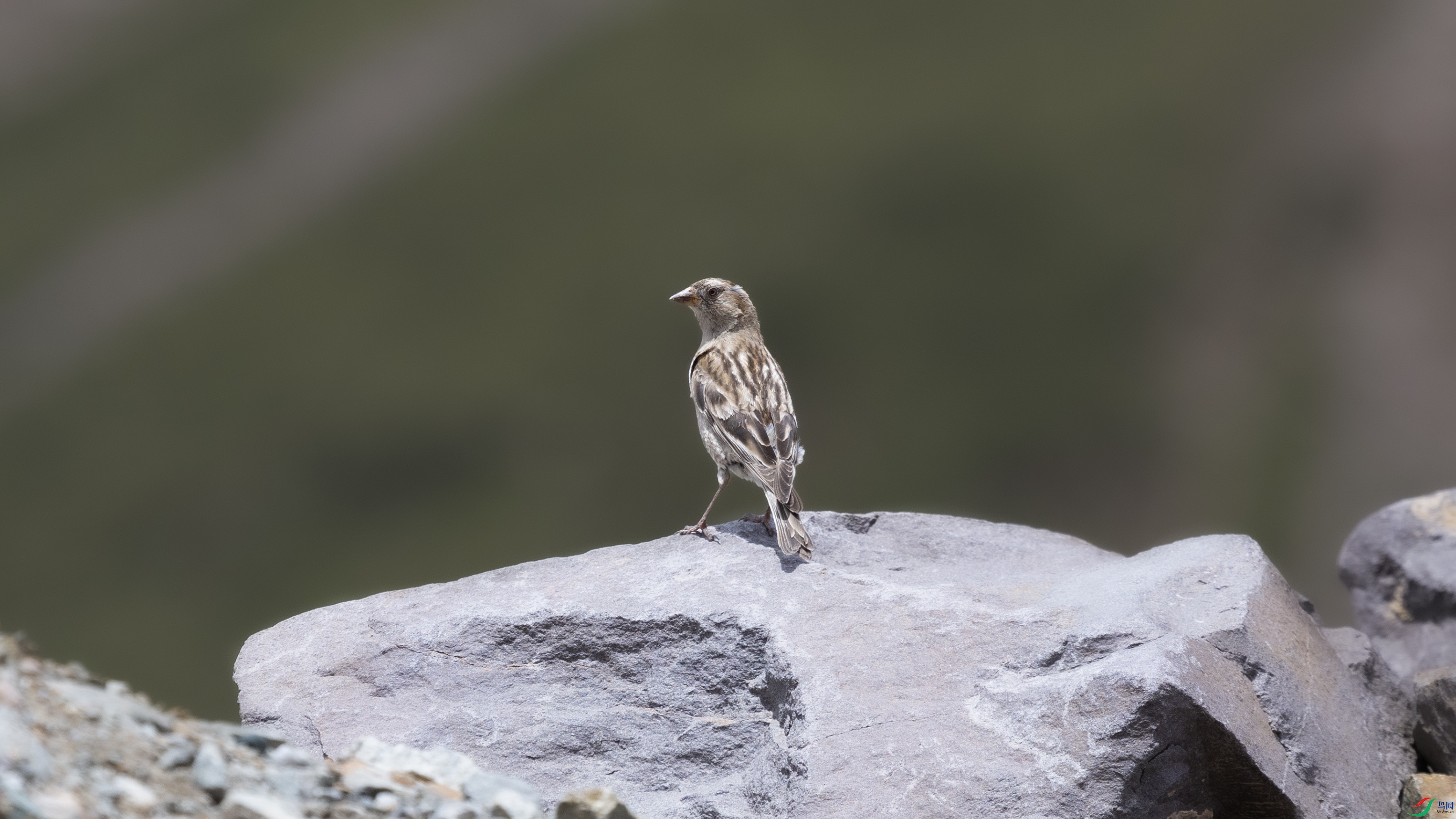 7X5A9848 ����44444.jpg