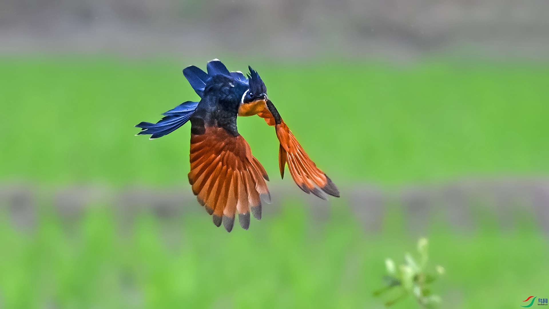 DSC_0235.jpg