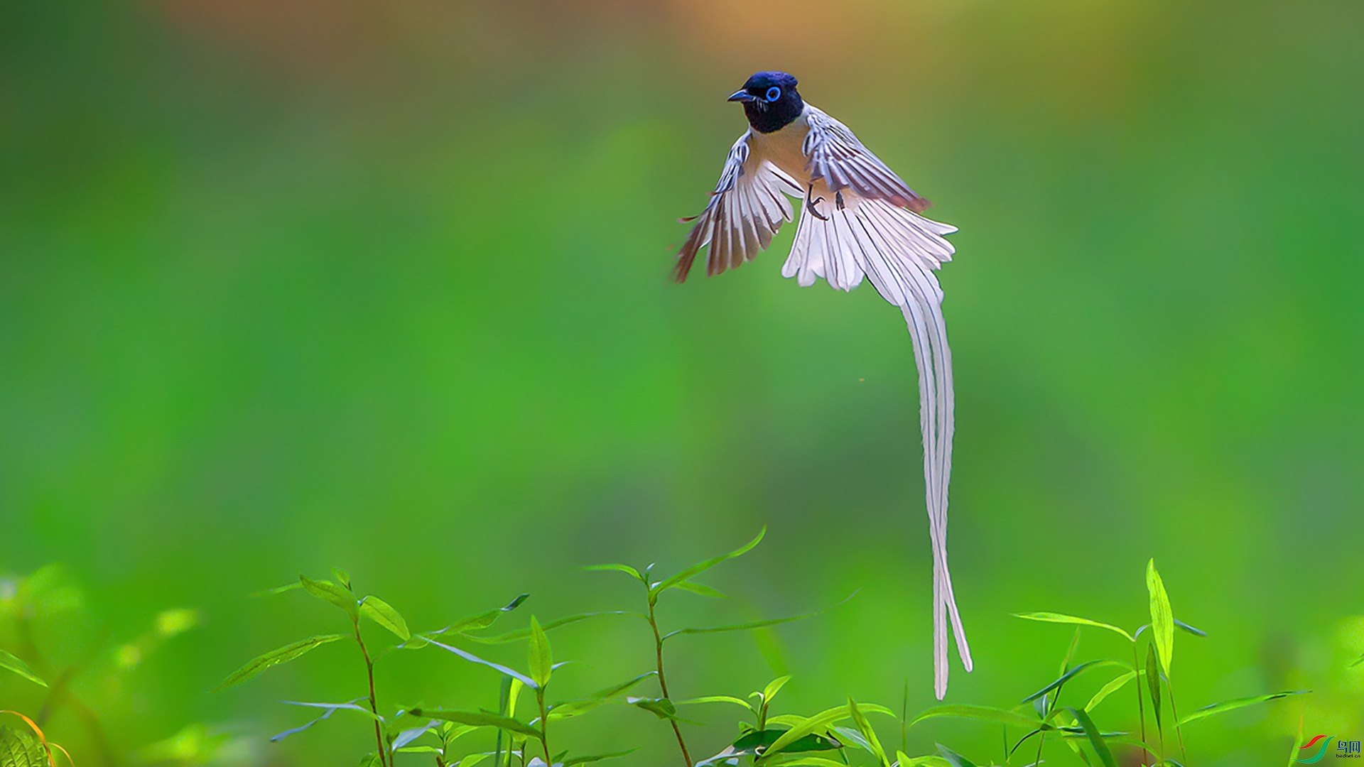 DSC_4179_����.jpg