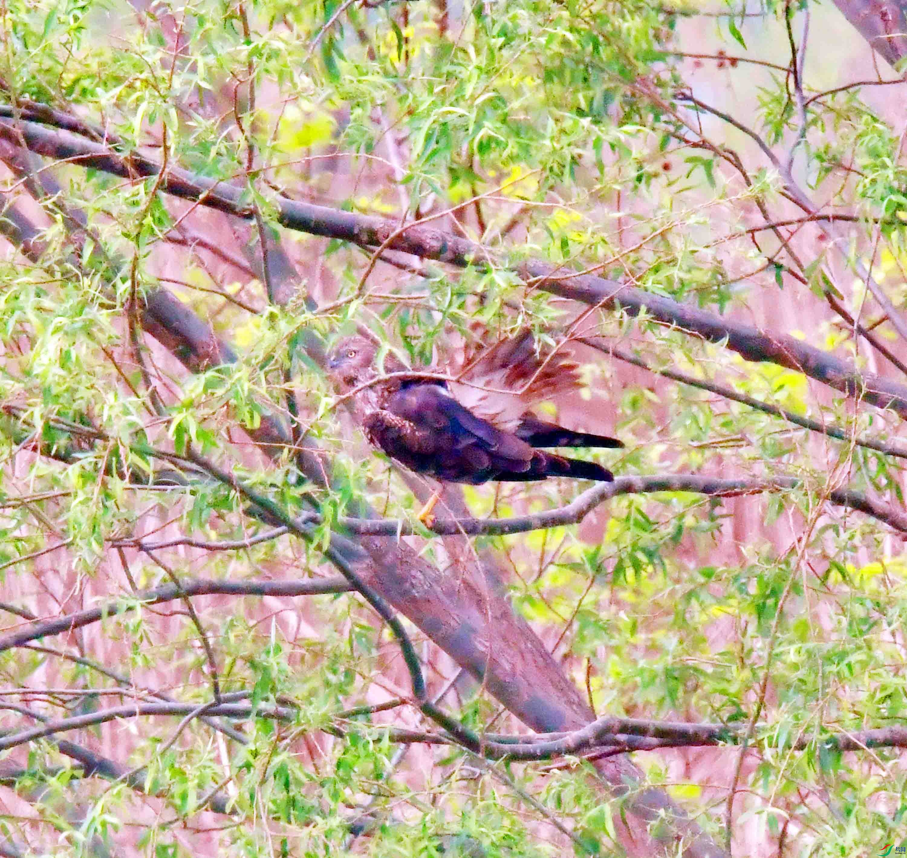 DSC_3739.JPG