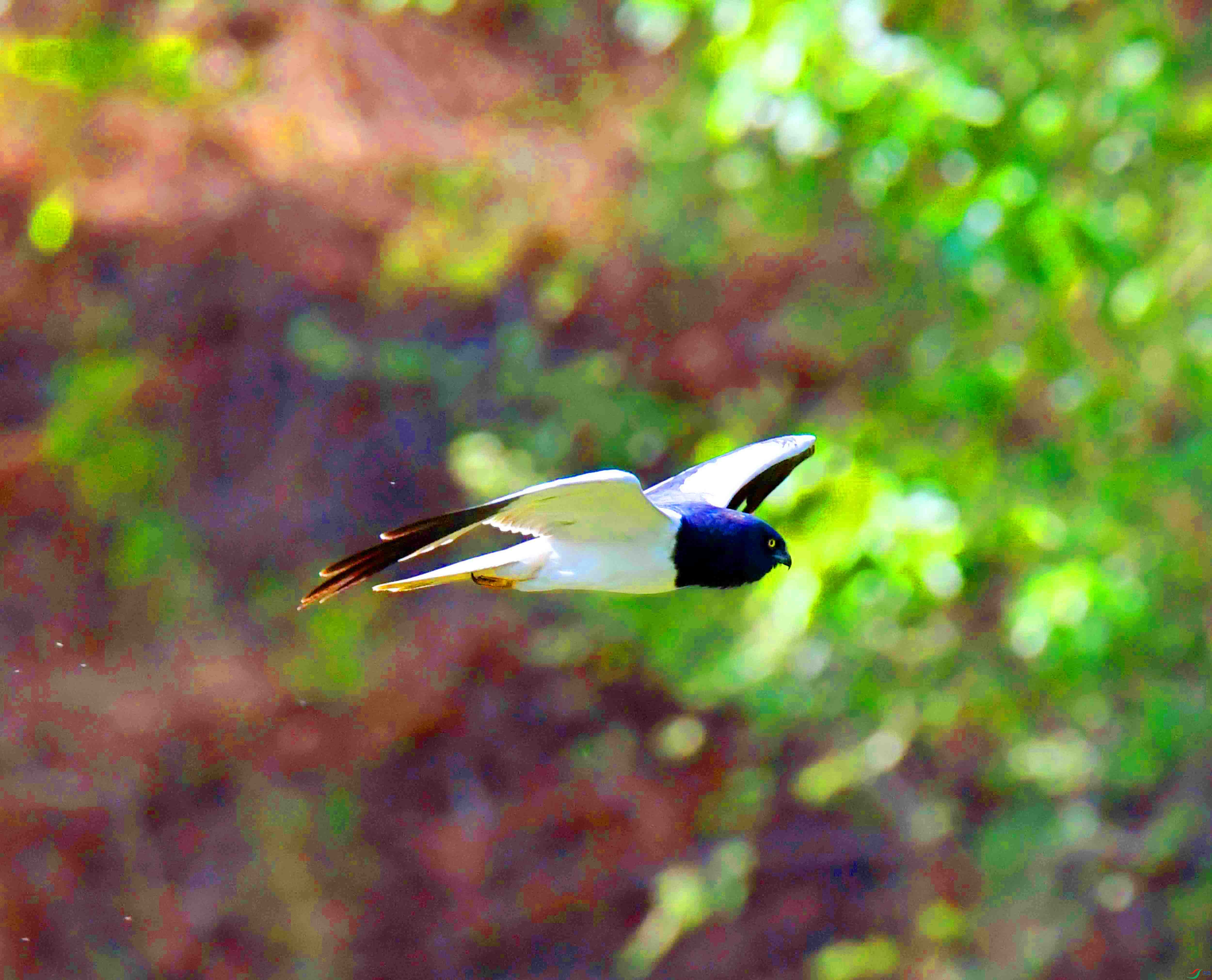 DSC_7356.JPG