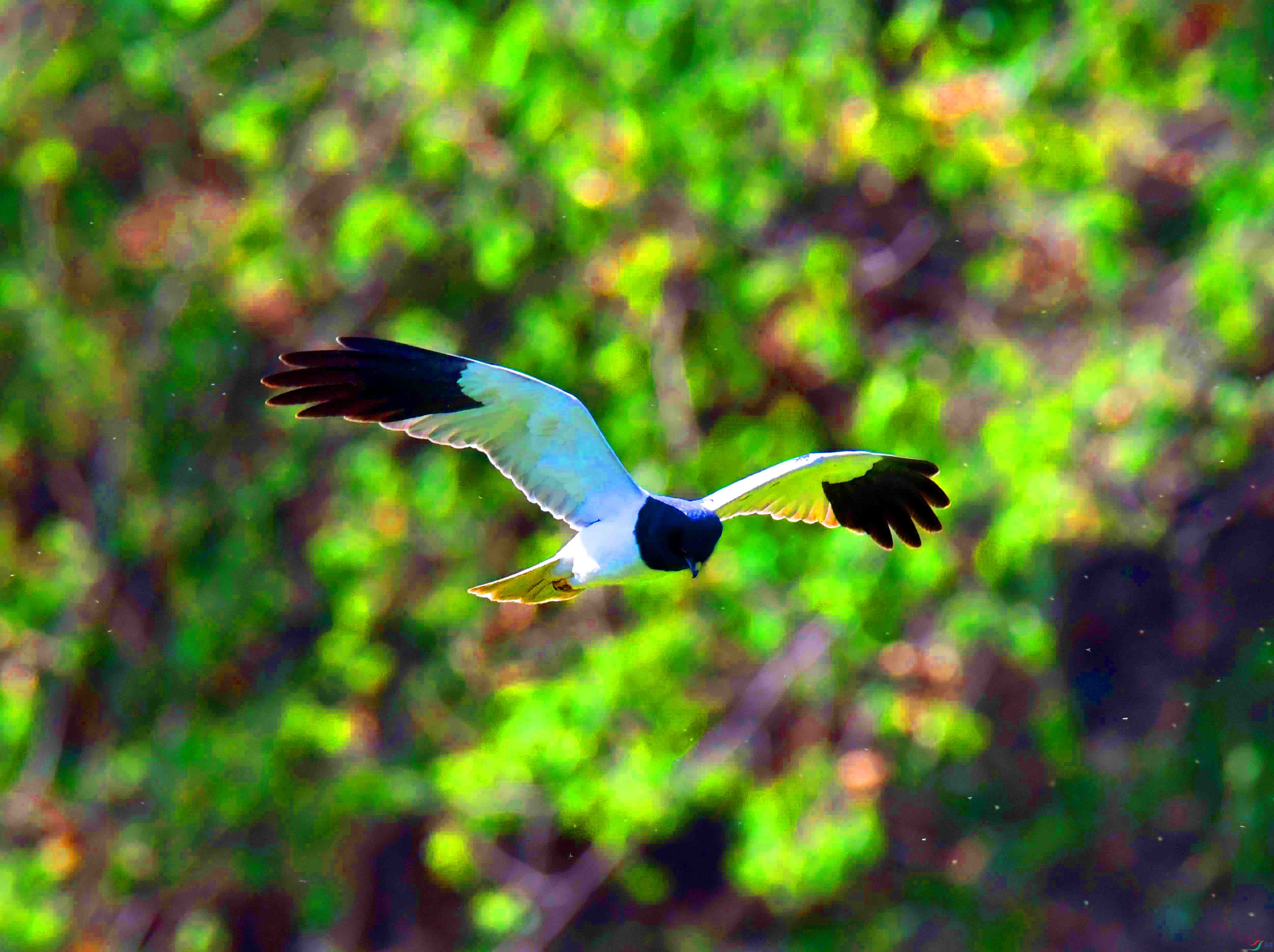 DSC_7364.JPG