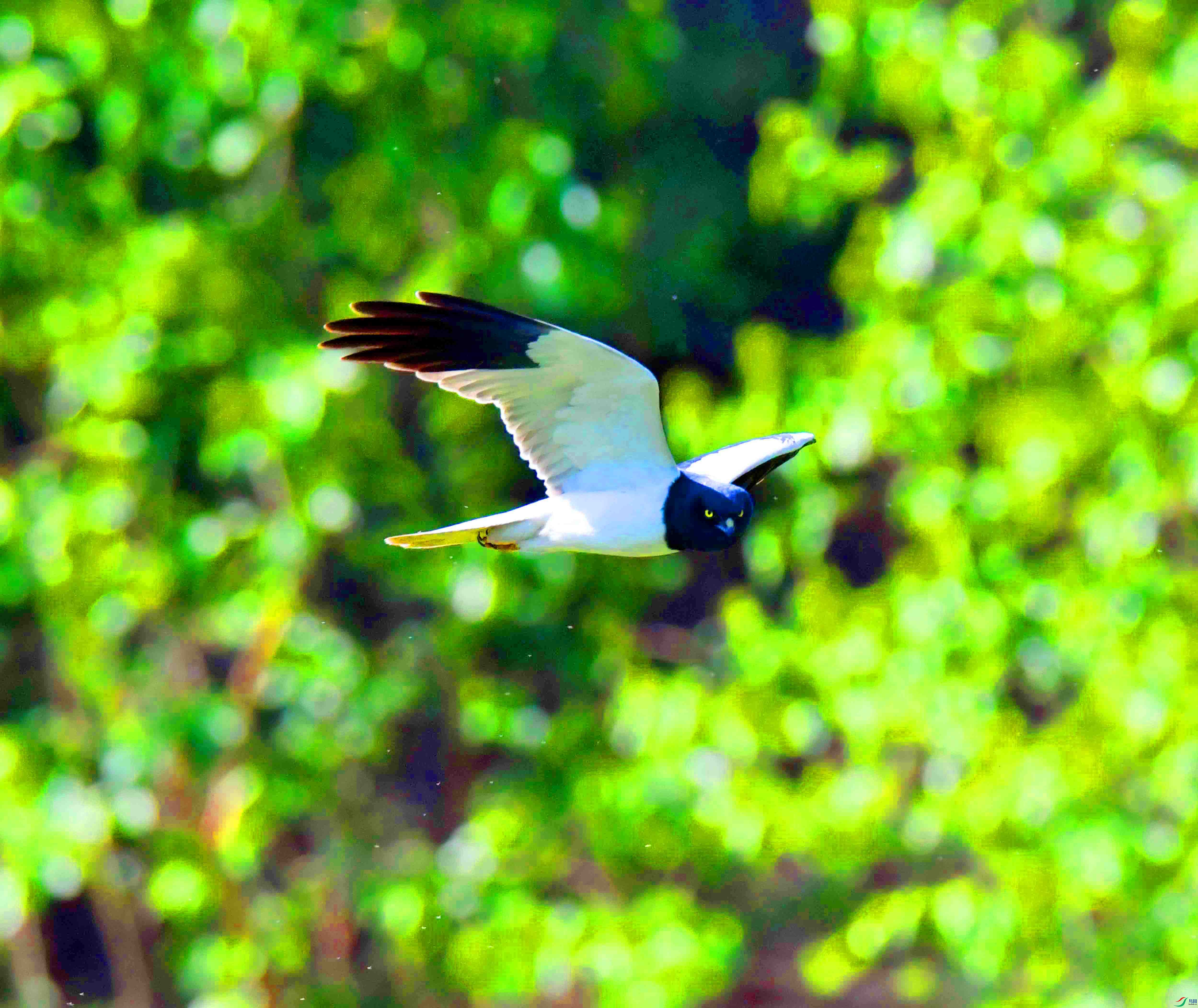 DSC_7365.JPG