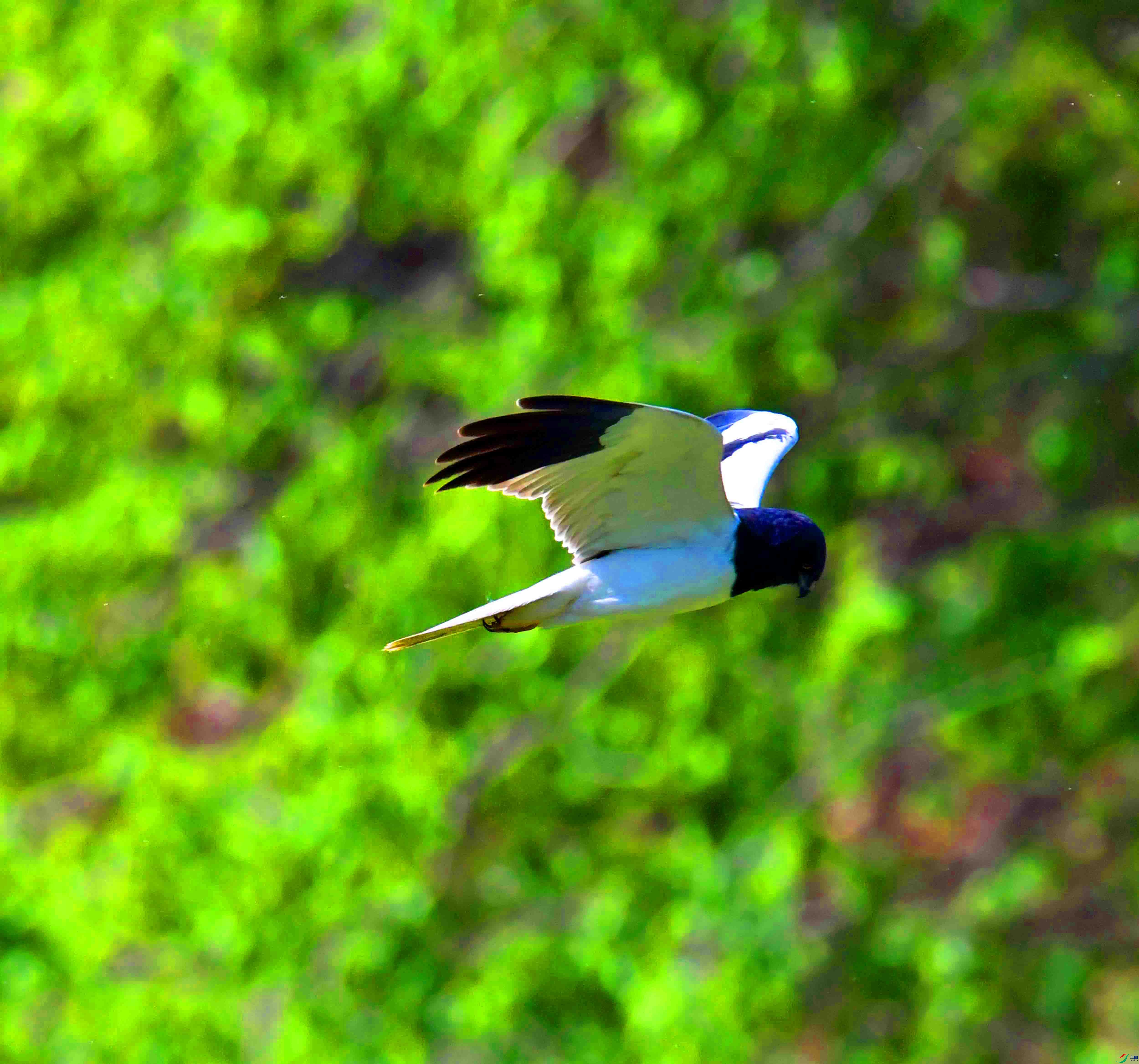 DSC_7369.JPG