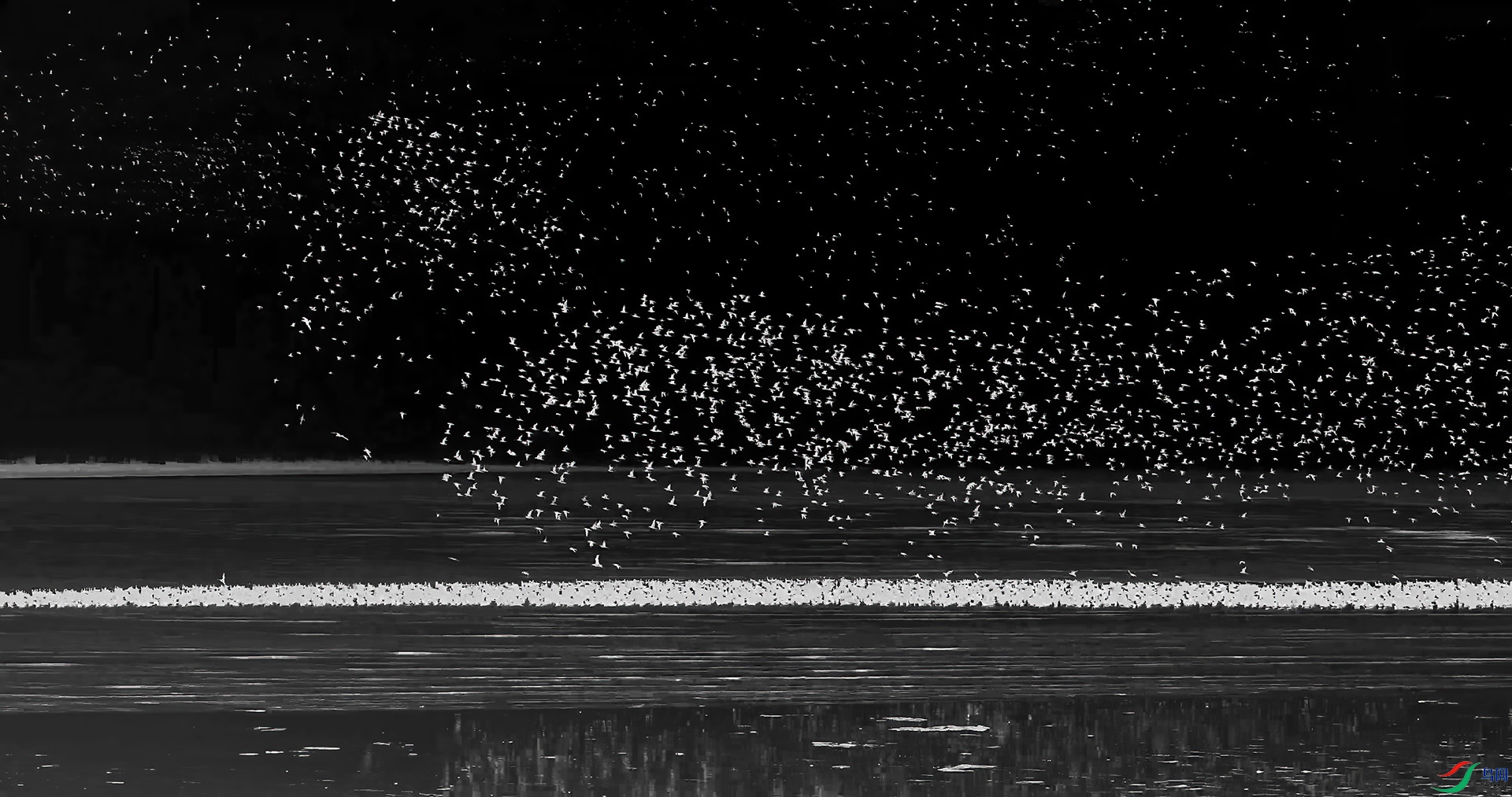 ��֡ 2025-08-25 181423_1.1.1.jpg