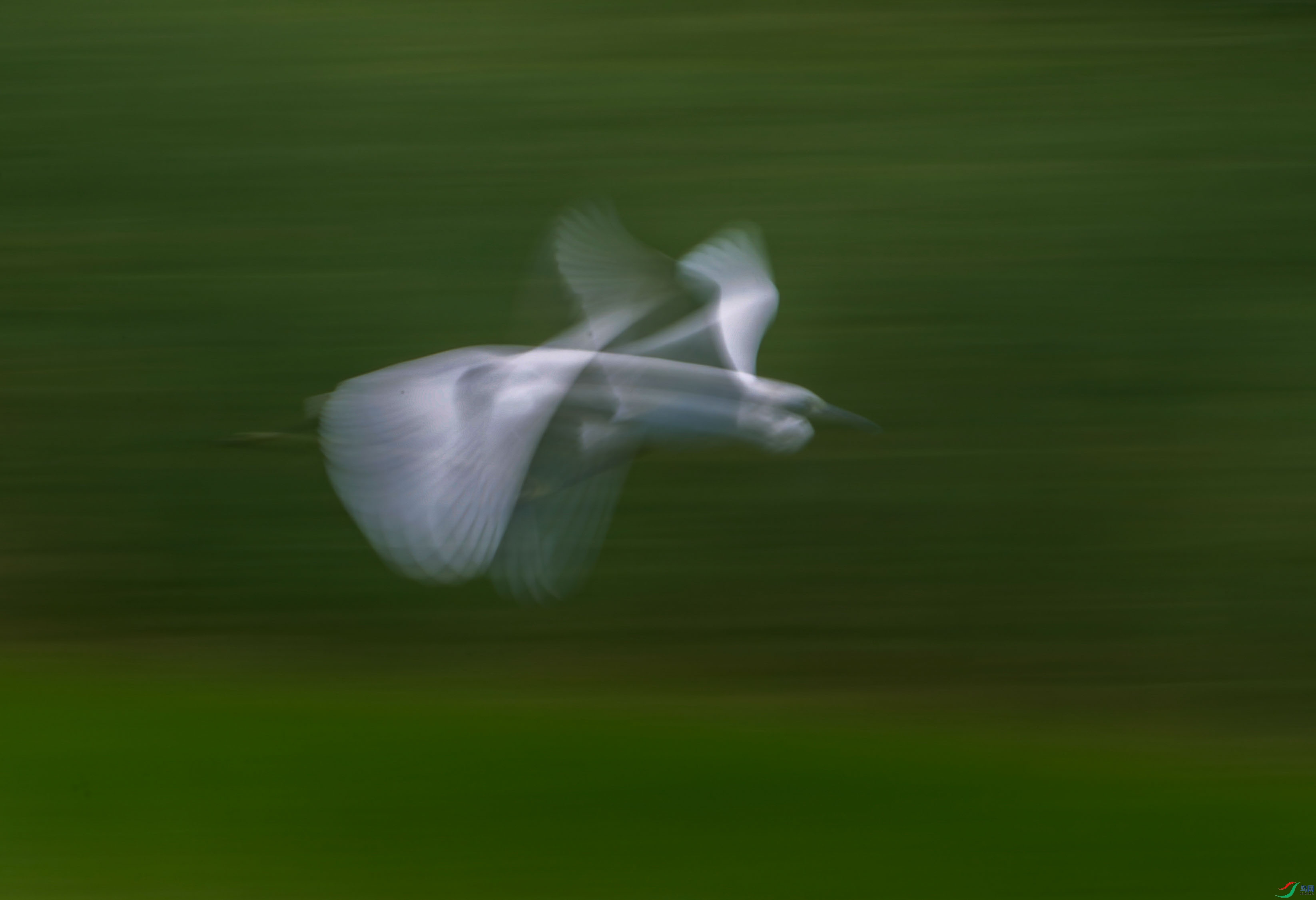 DSC_4049_1.jpg