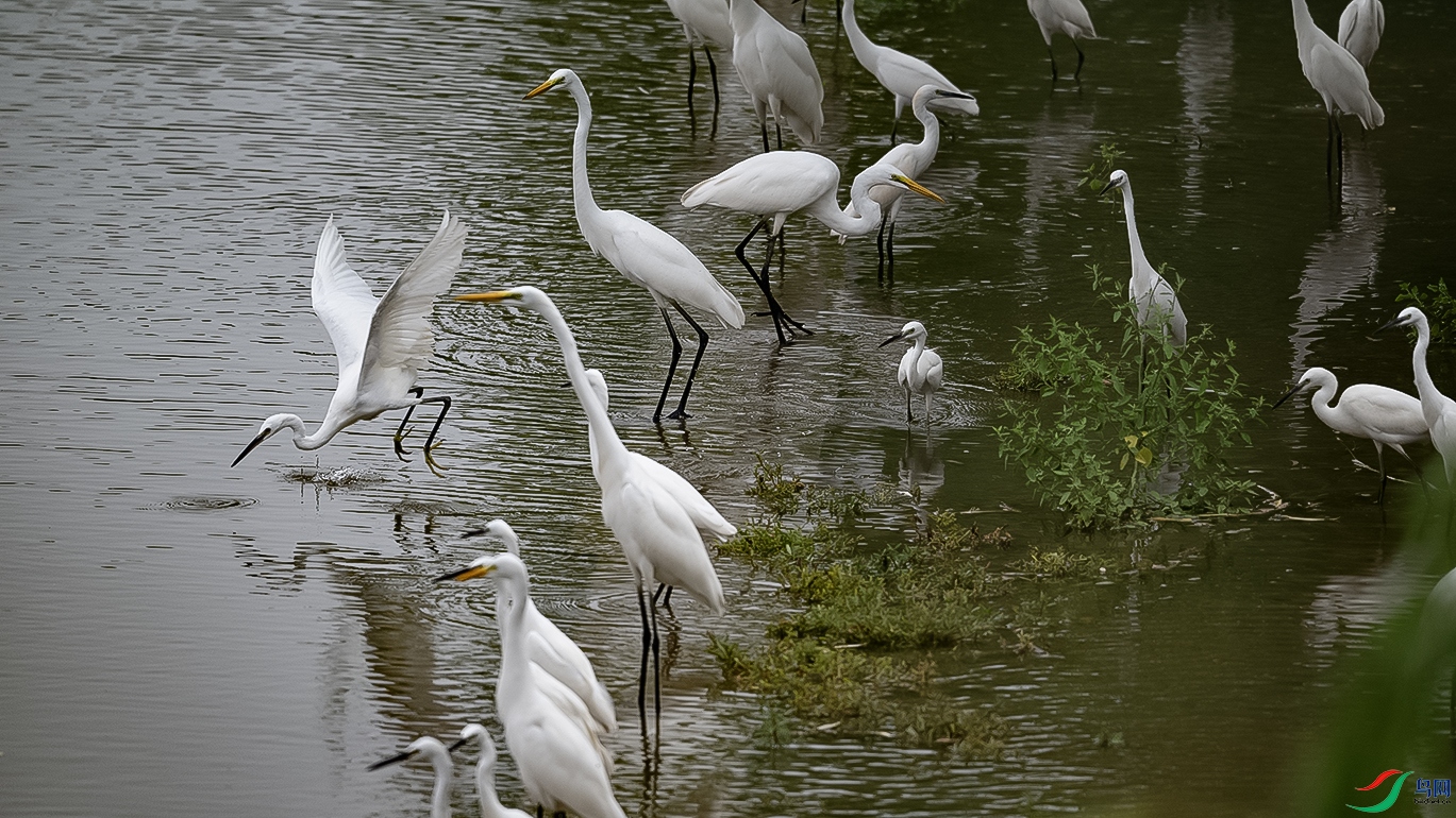 DSC_1288-.jpg
