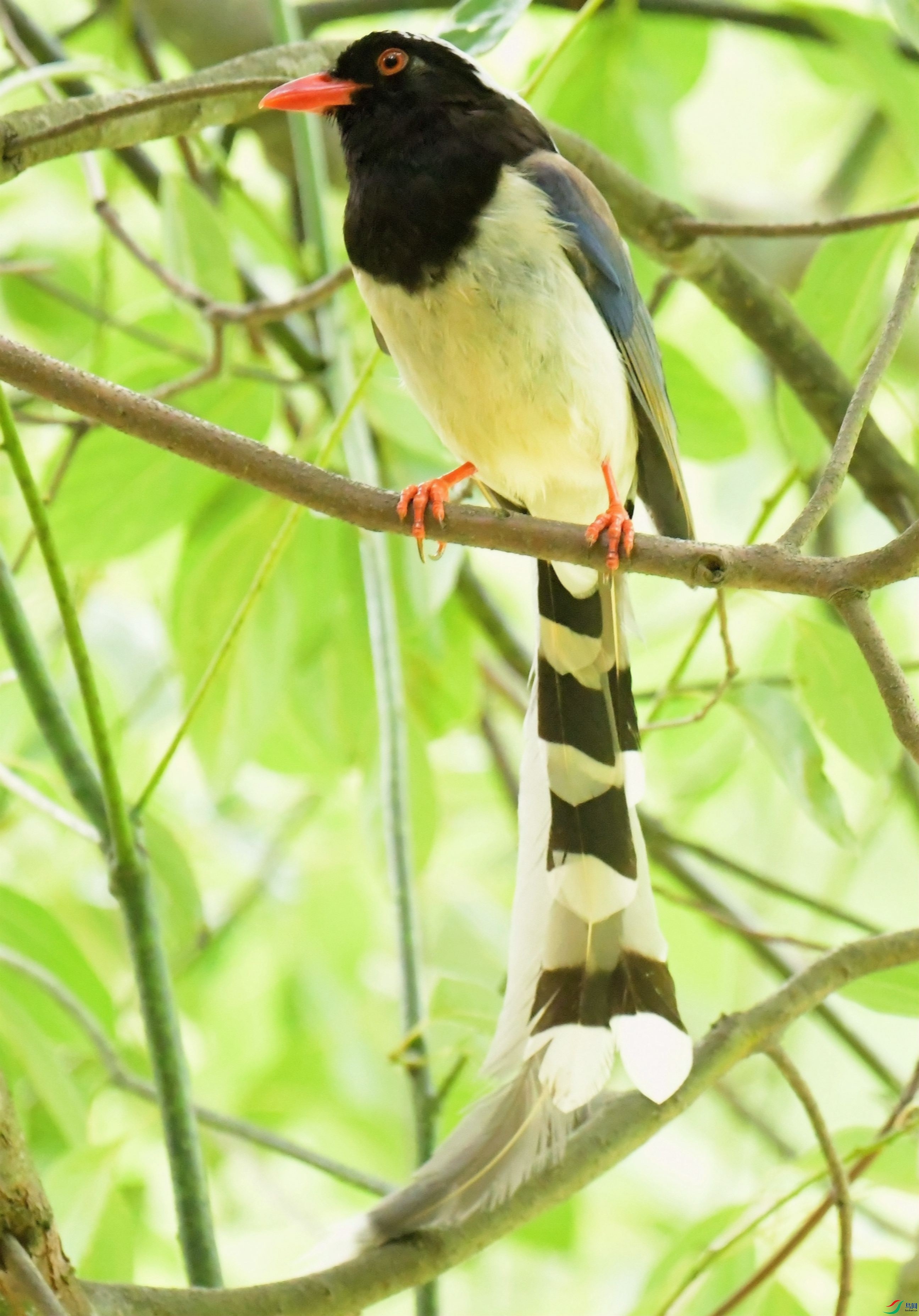 DSC_8881.JPG