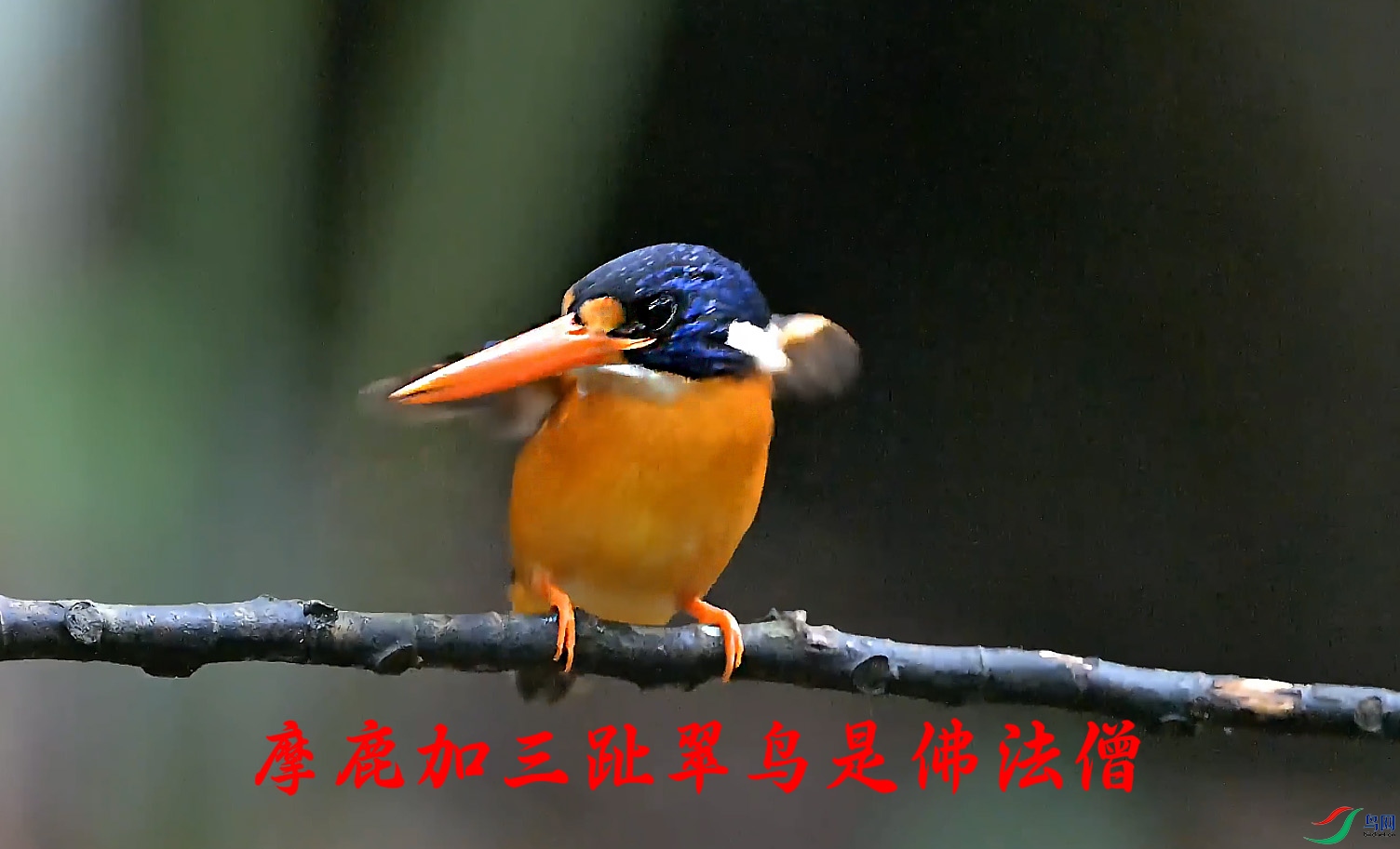 {DBE781D0-1E7C-457A-BC4D-13698D0B9E5C} ����.jpg