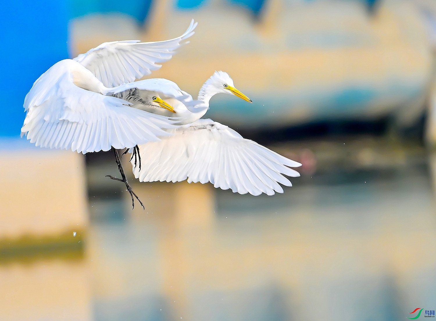 DSC_3299---_conew2.jpg
