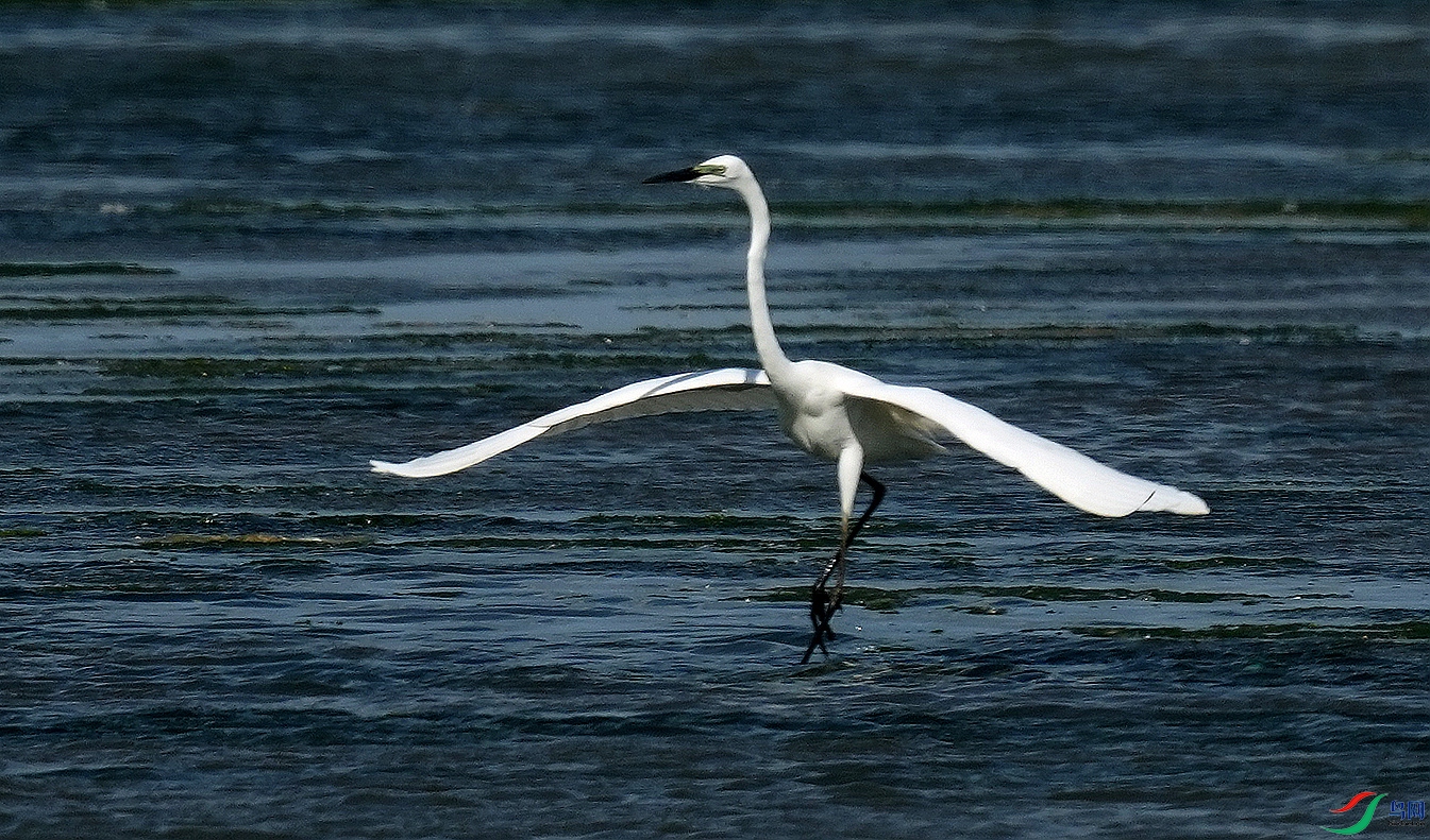 DSC00654.JPG