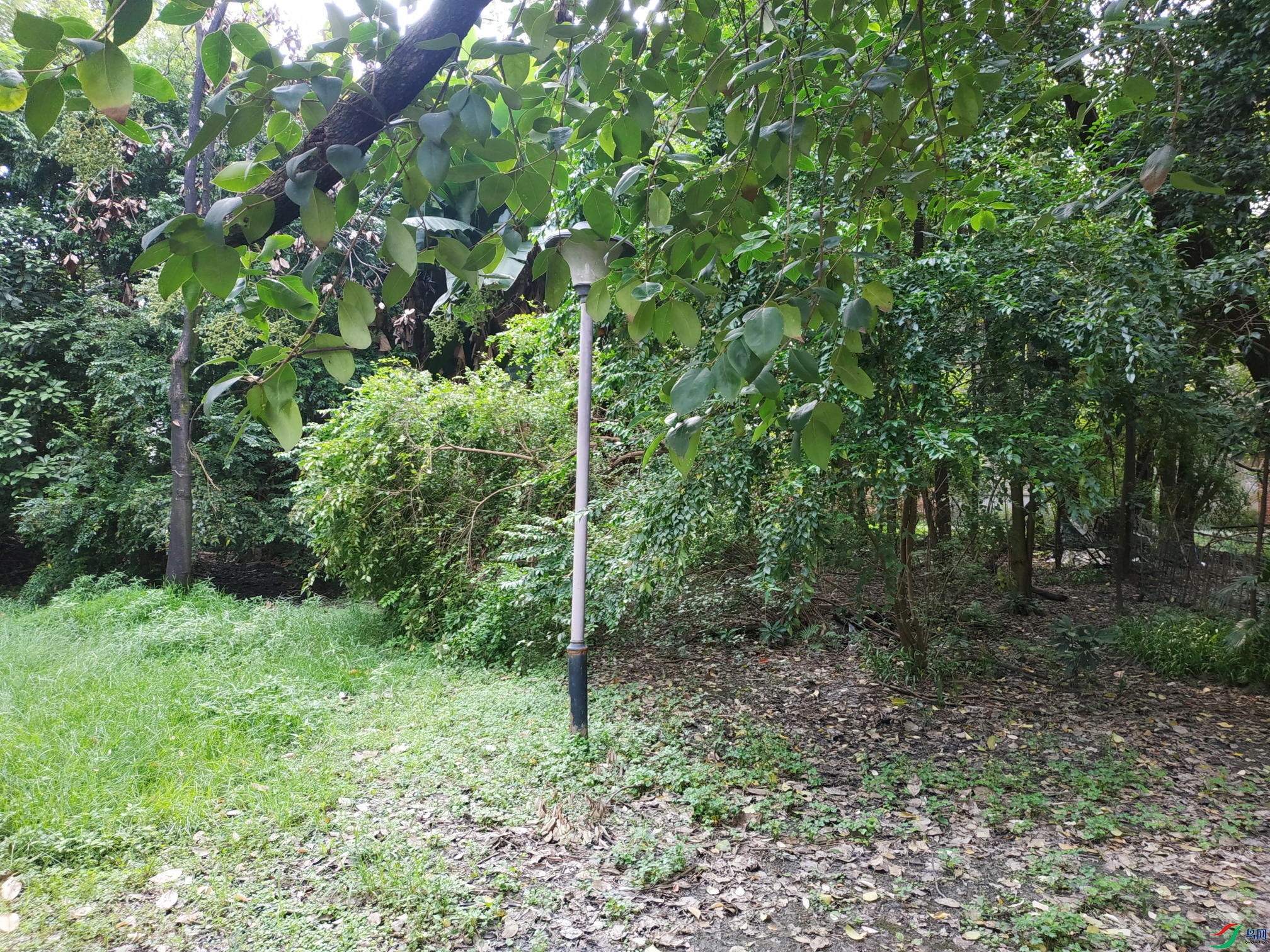 ΢��ͼƬ_2025-08-26_142354_432.JPG