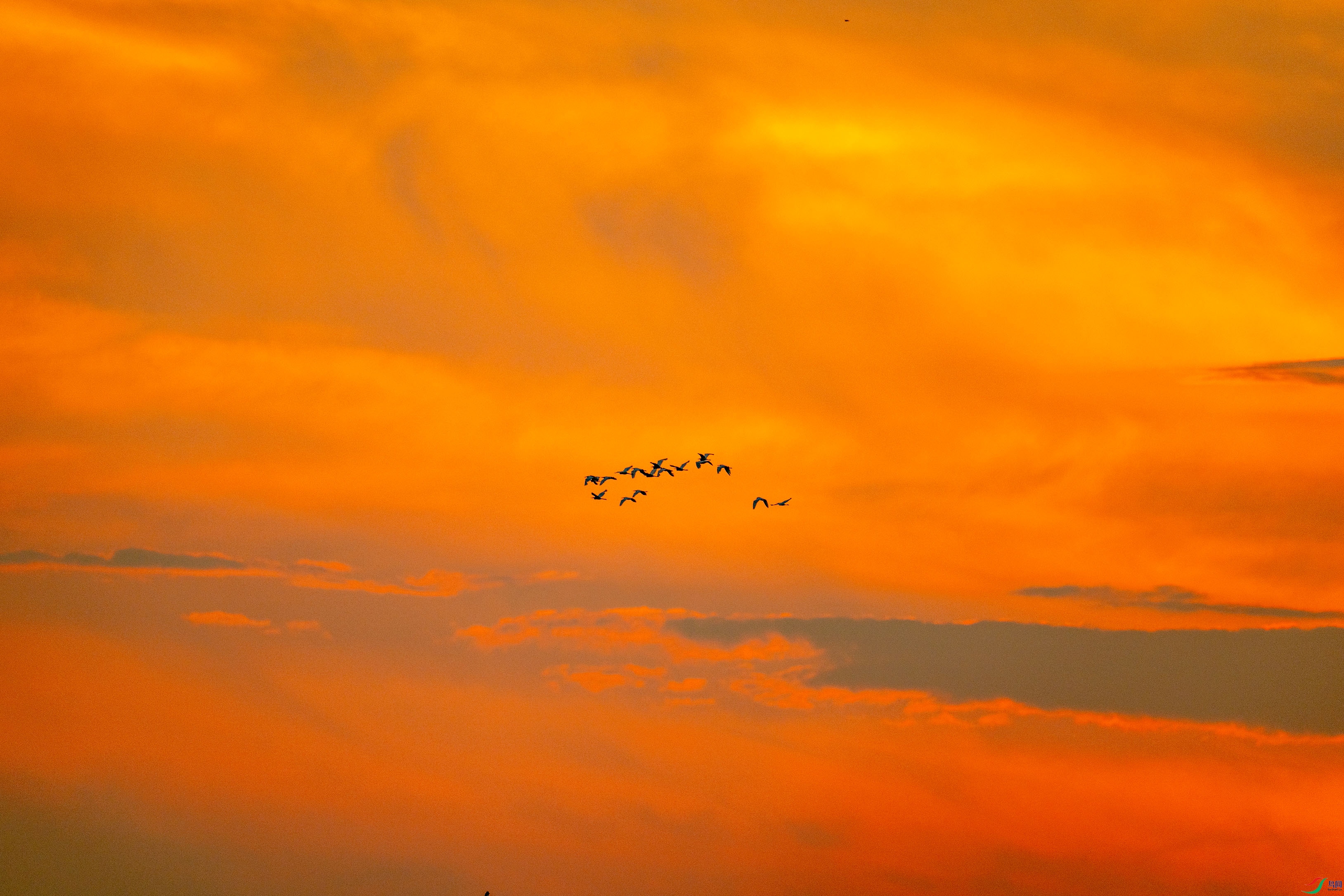 DSC_3974.jpg