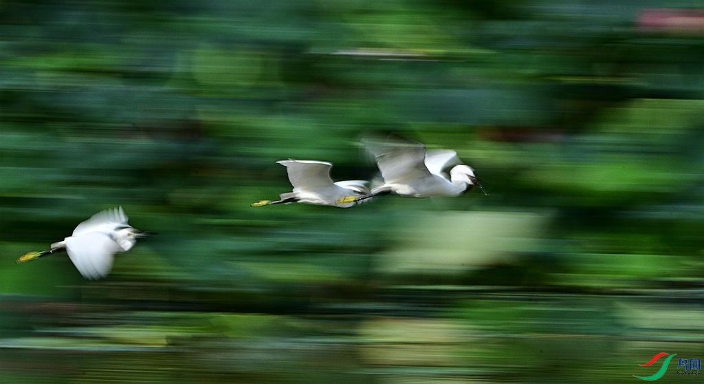 DSC_3321.JPG