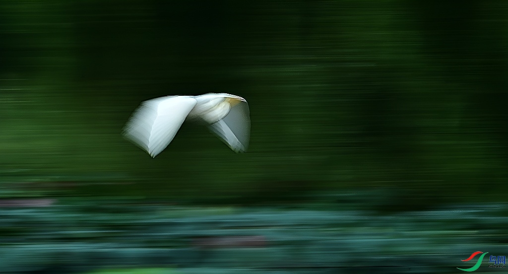DSC_3382.JPG