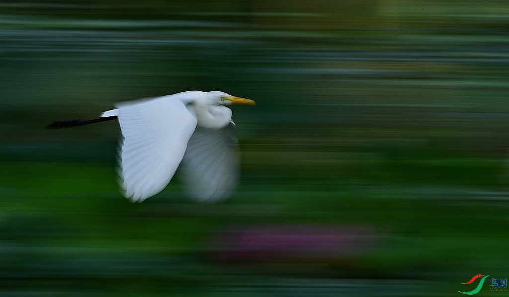 DSC_3392.JPG