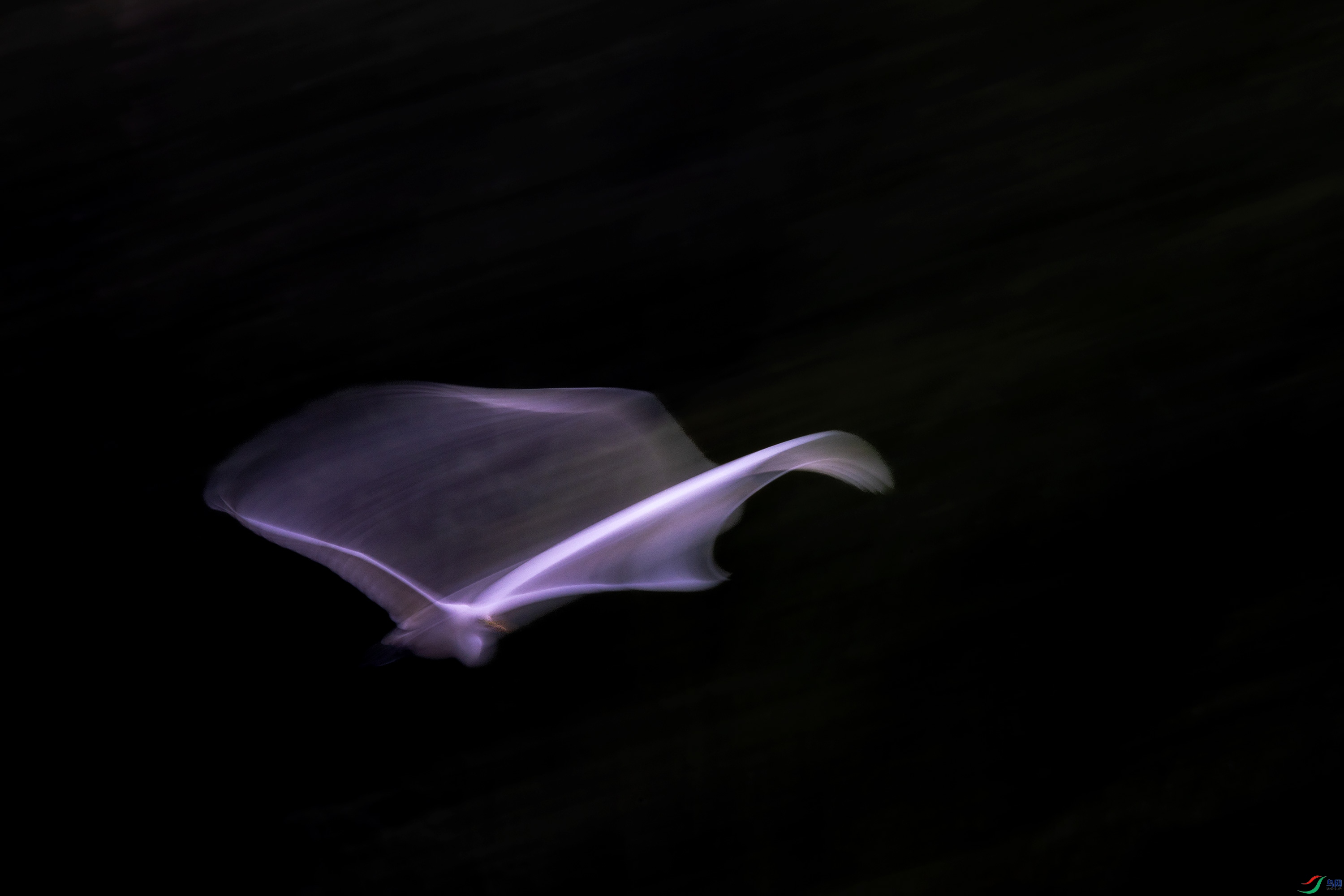 00036.jpg