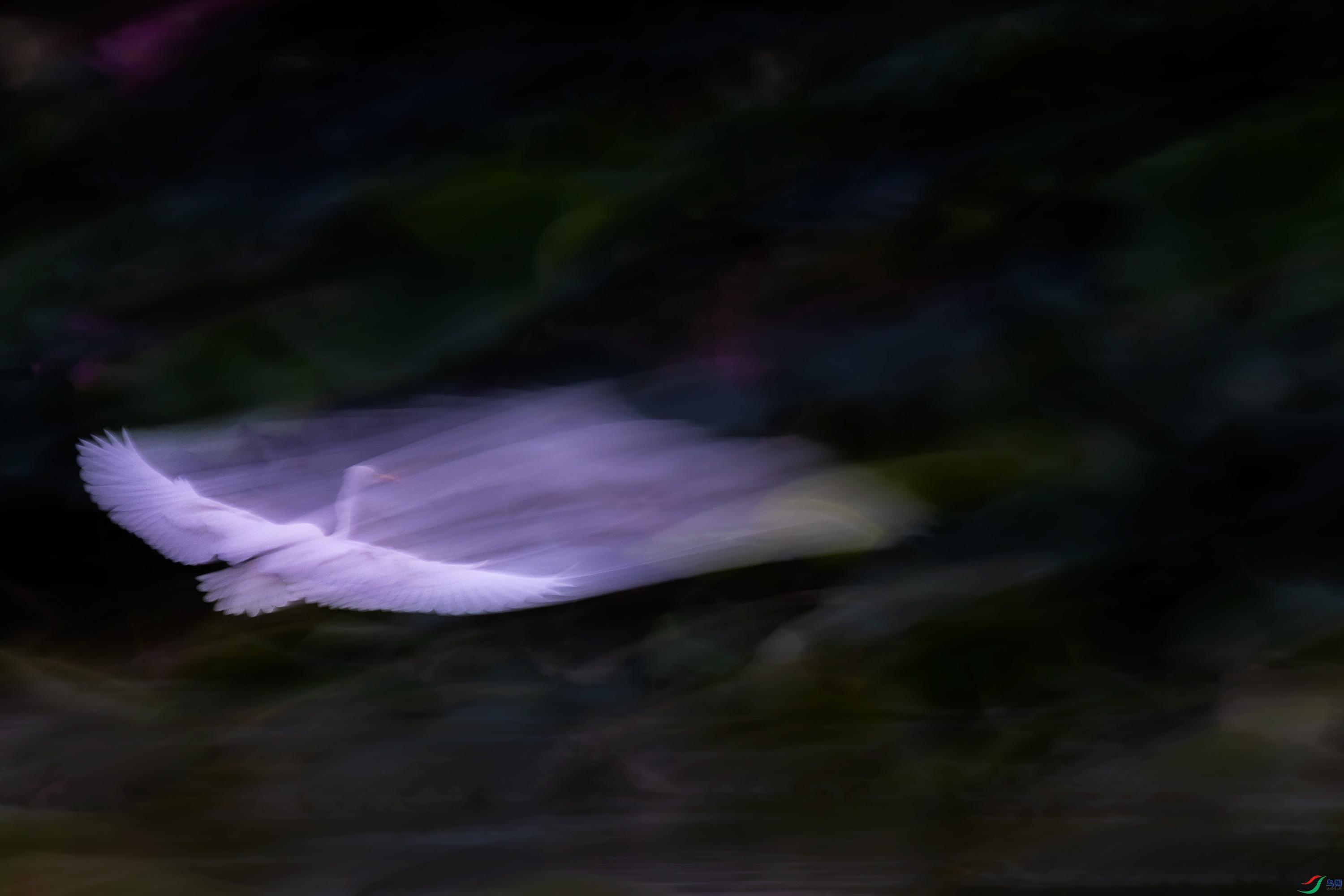 00043.jpg