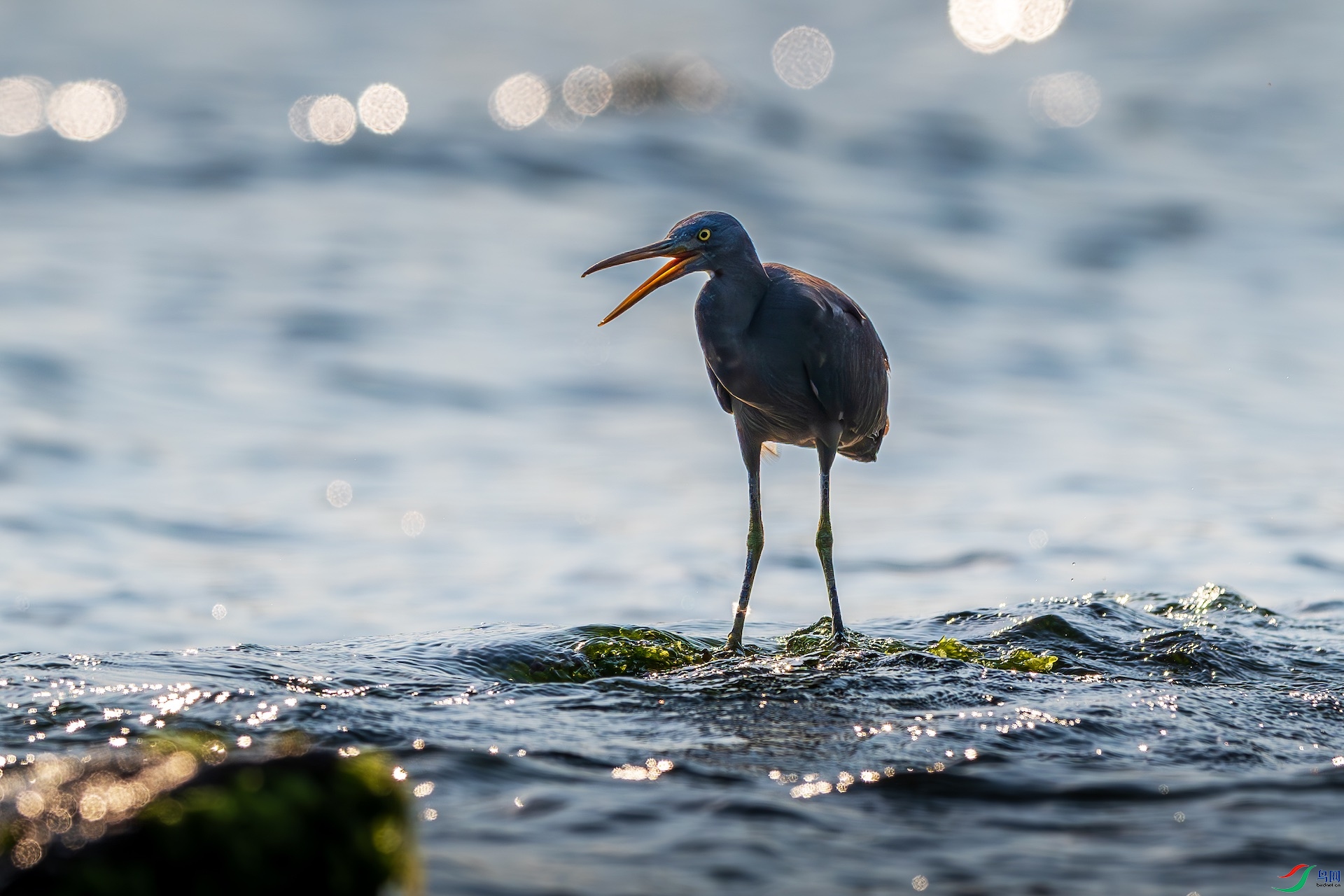 _XXL0680-����ǿ-NR-1 2.jpeg