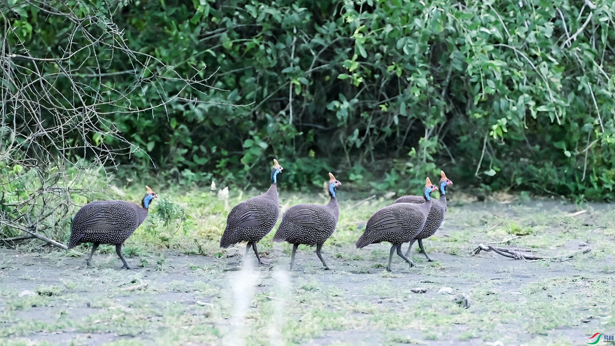DSC_2307_����.jpg���鼦_����_����_����_����.jpg