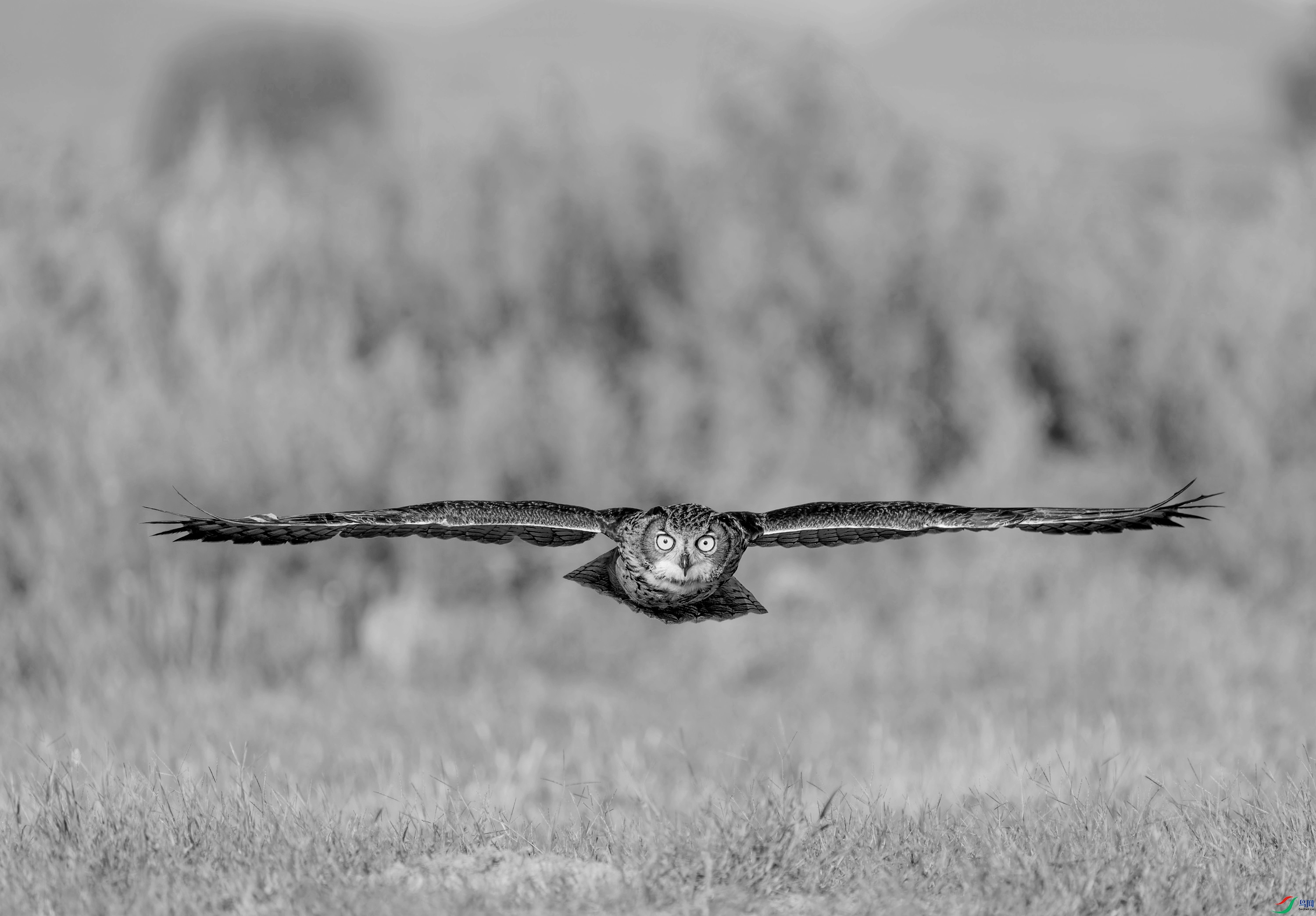 DSC05317 ����_����.jpg