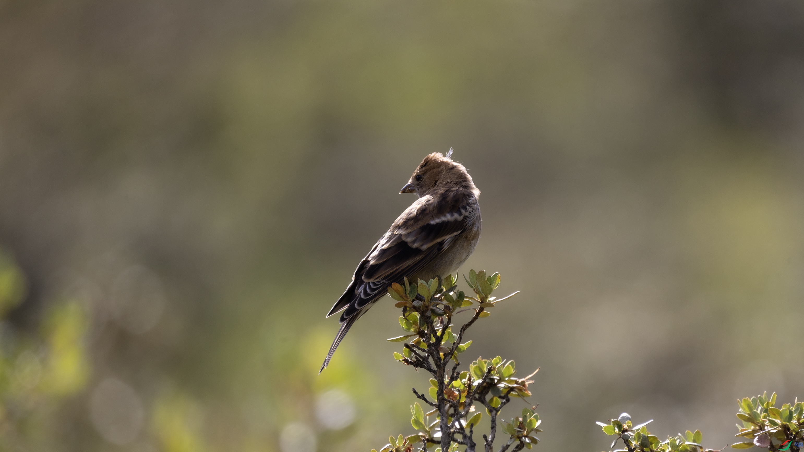 _X5A0086 ��44444.jpg