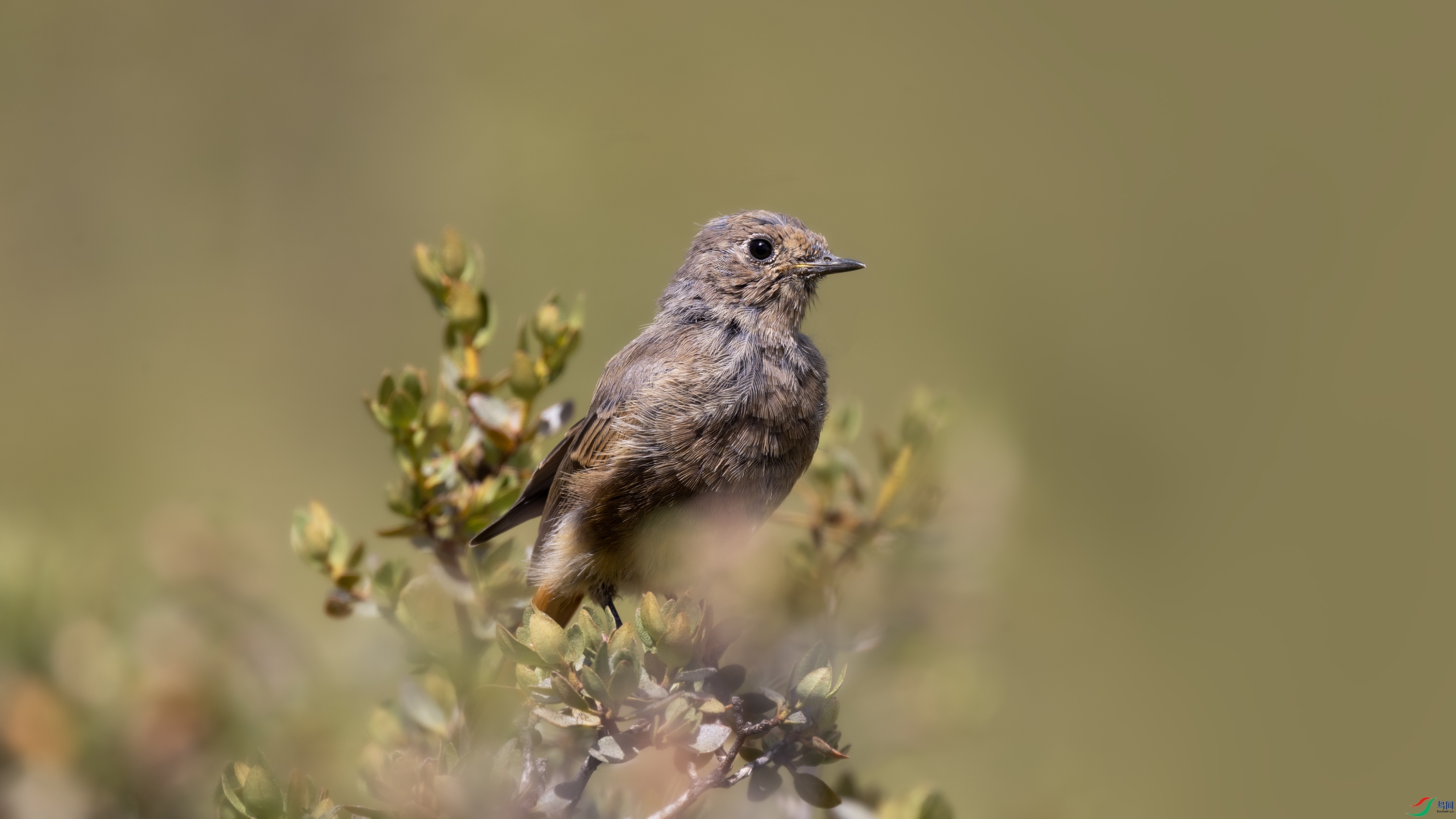 _X5A0265 ����444.jpg