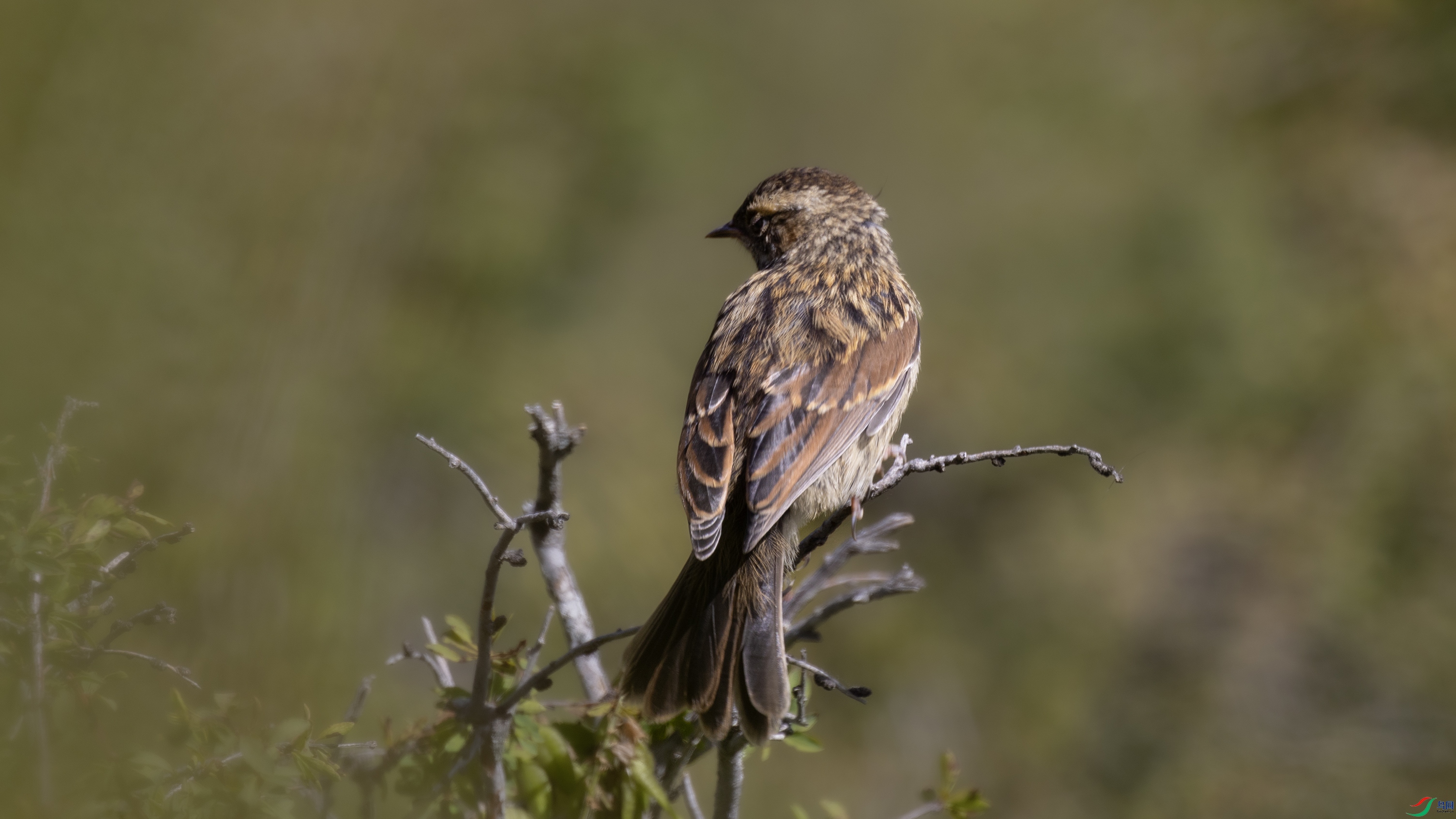 _X5A0123 ����444.jpg