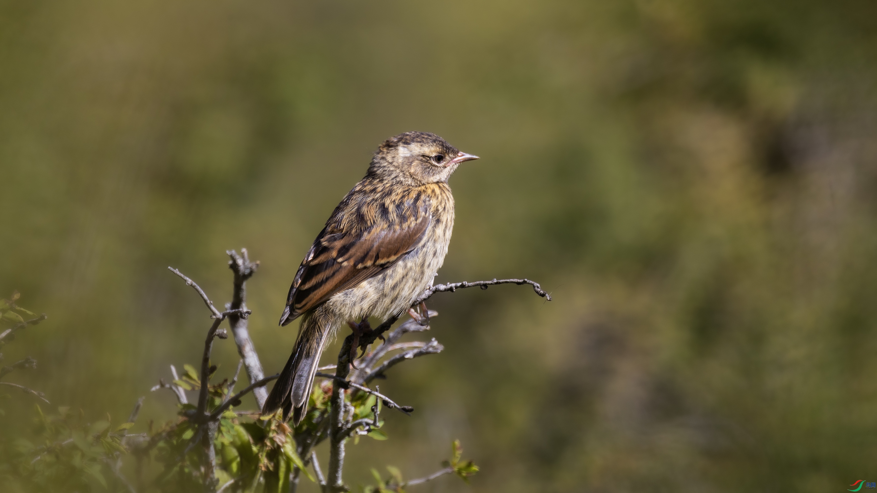 _X5A0119 ��4444.jpg