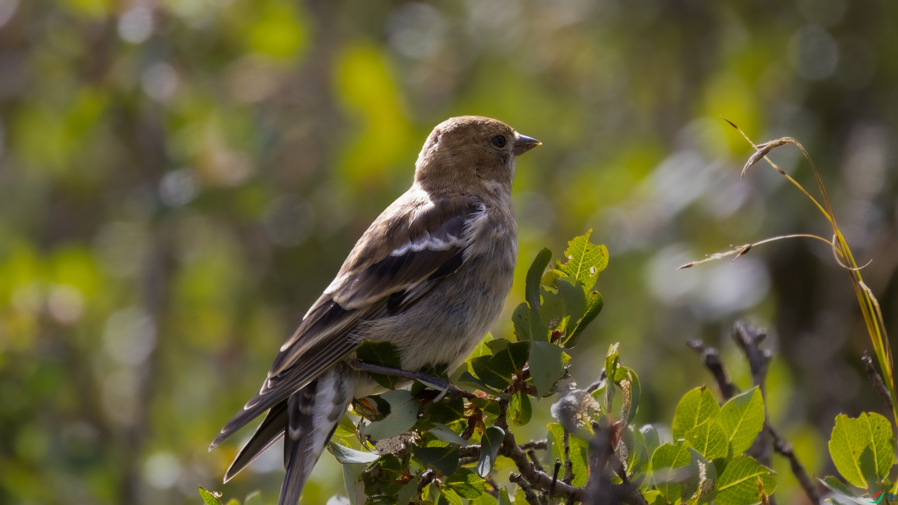 _X5A0101 ����44.jpg