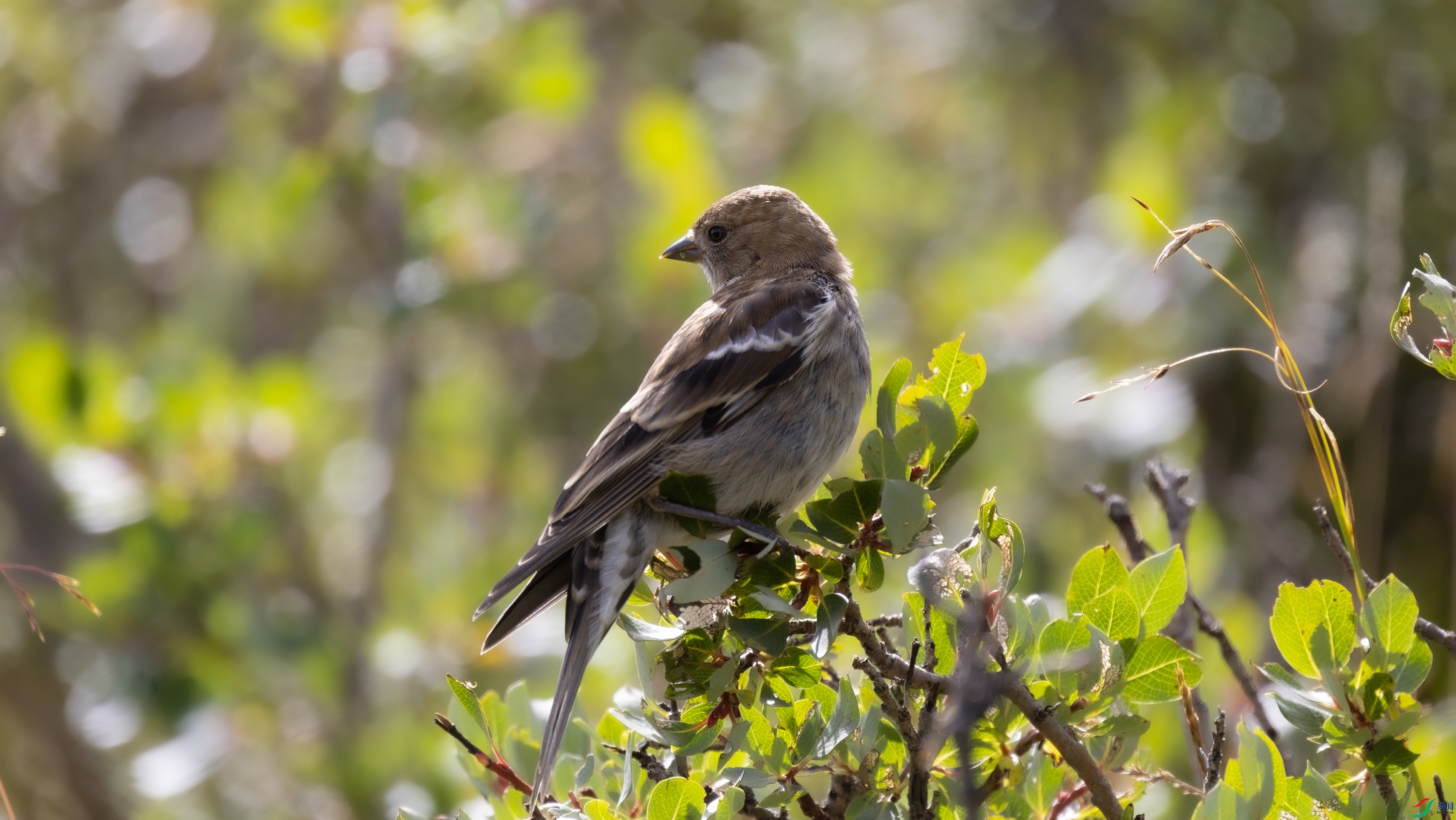 _X5A0099 ��44444.jpg