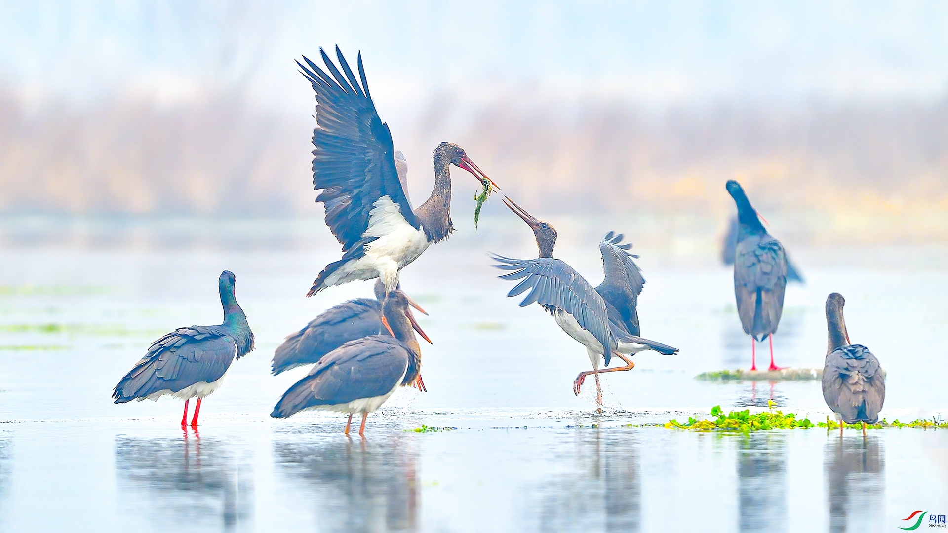 XIA_8074 ����.jpg