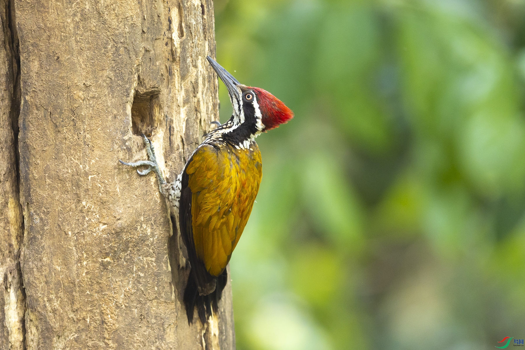 �����ľ��