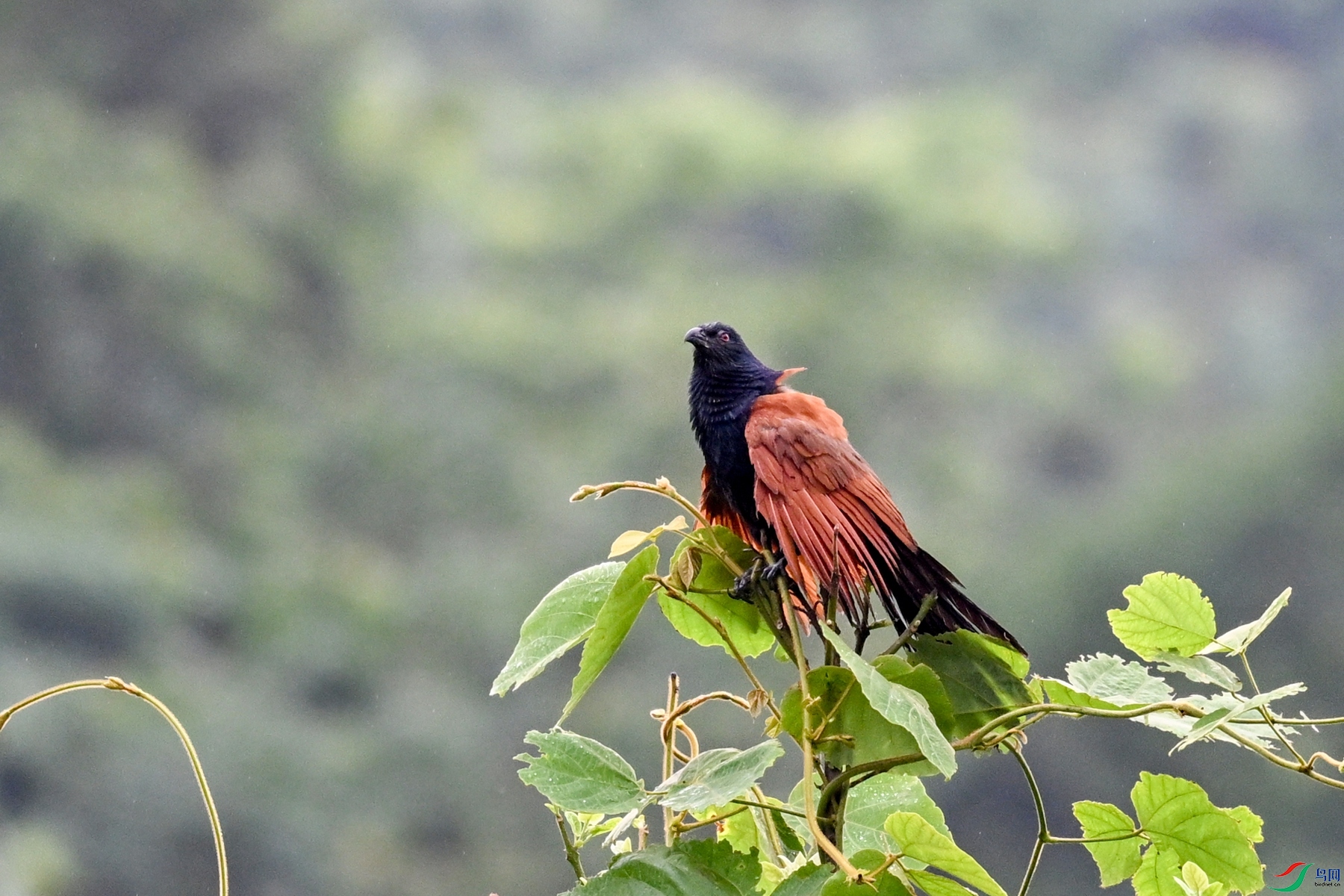 DSC_8414.JPG