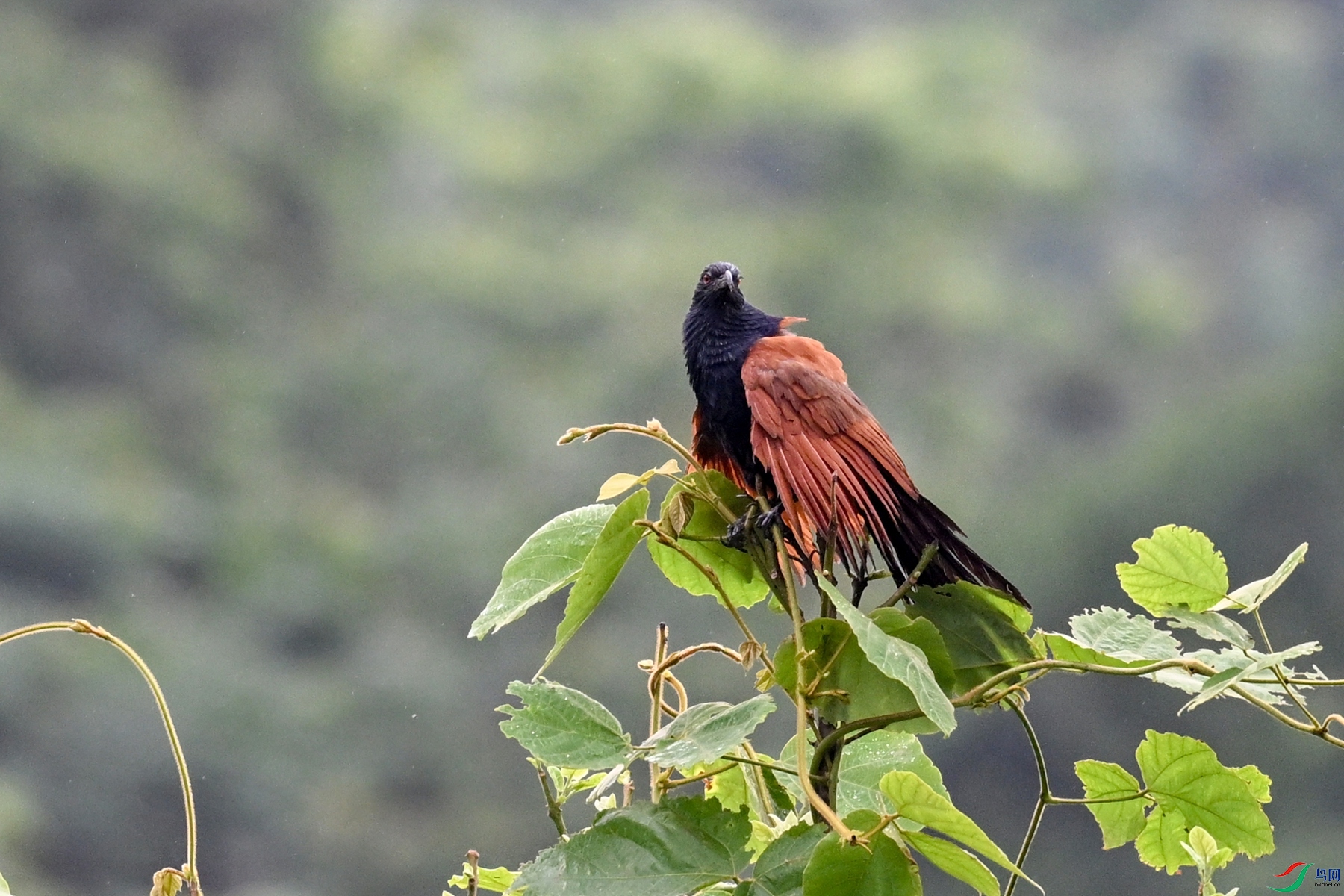 DSC_8417.JPG