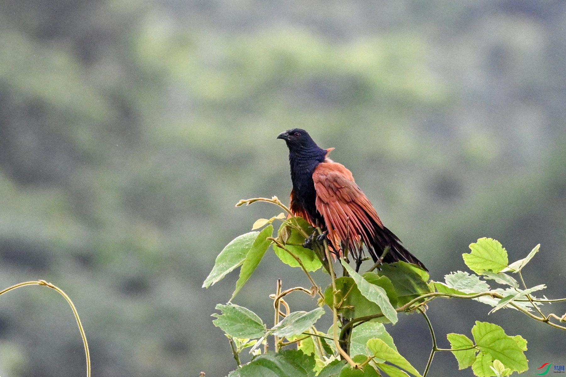 DSC_8421.JPG