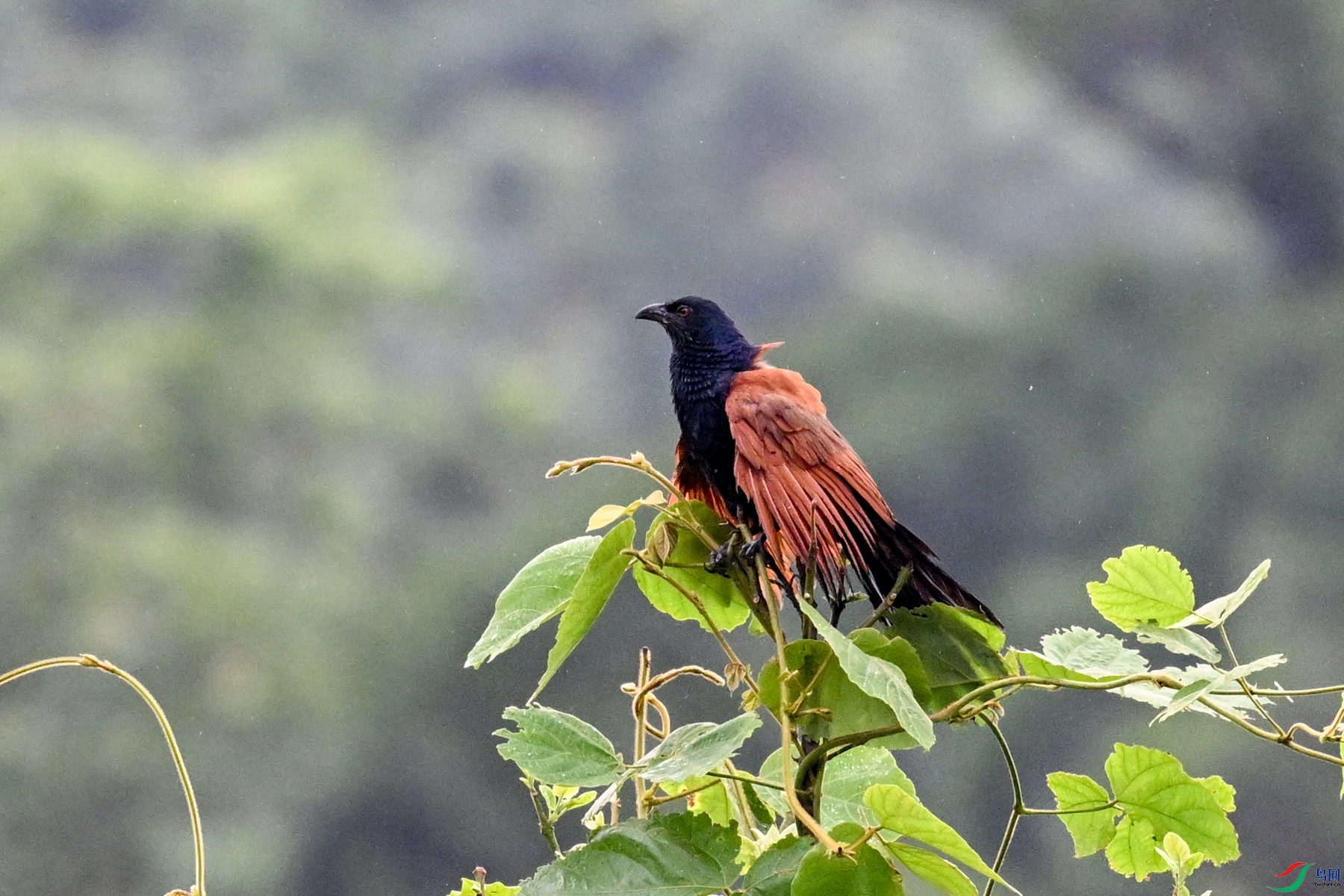 DSC_8425.JPG