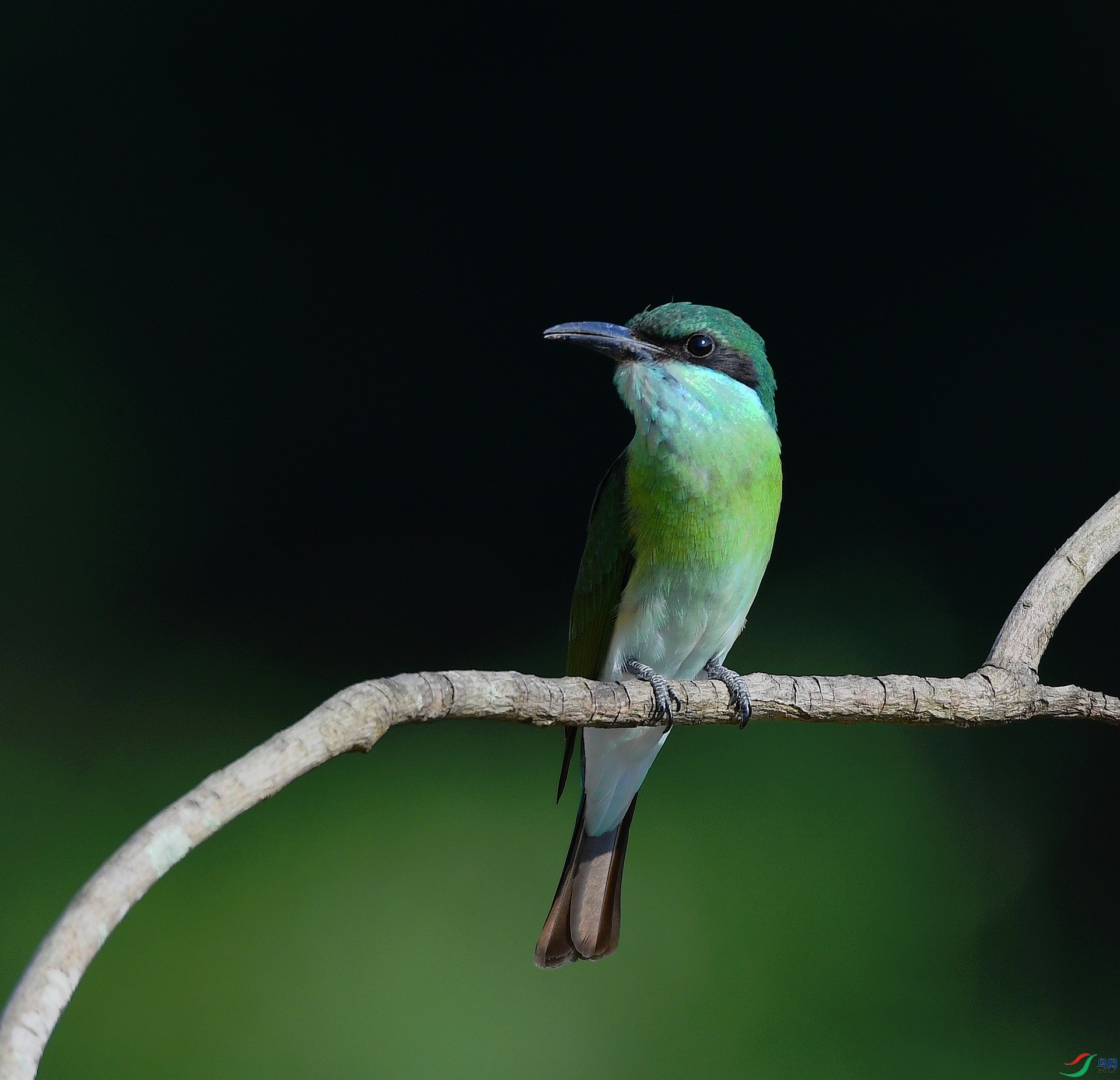 DSC_1862.jpg