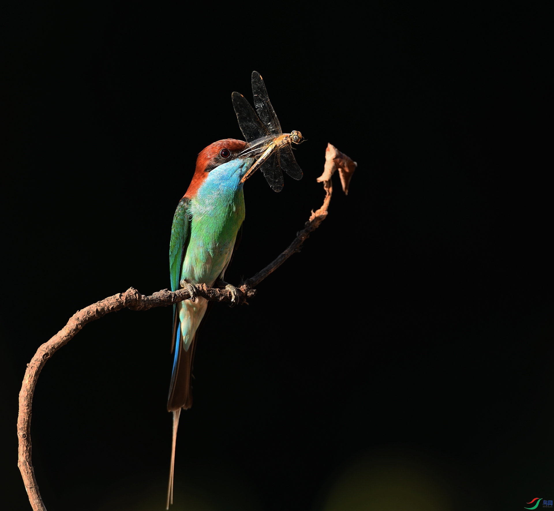 DSC_4066.jpg