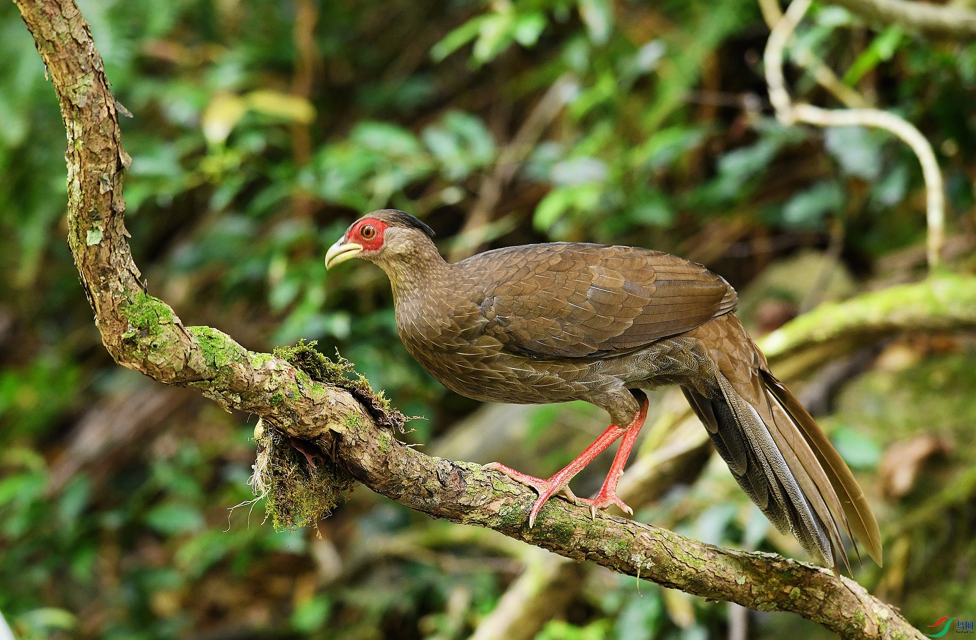 DSC_2441.jpg