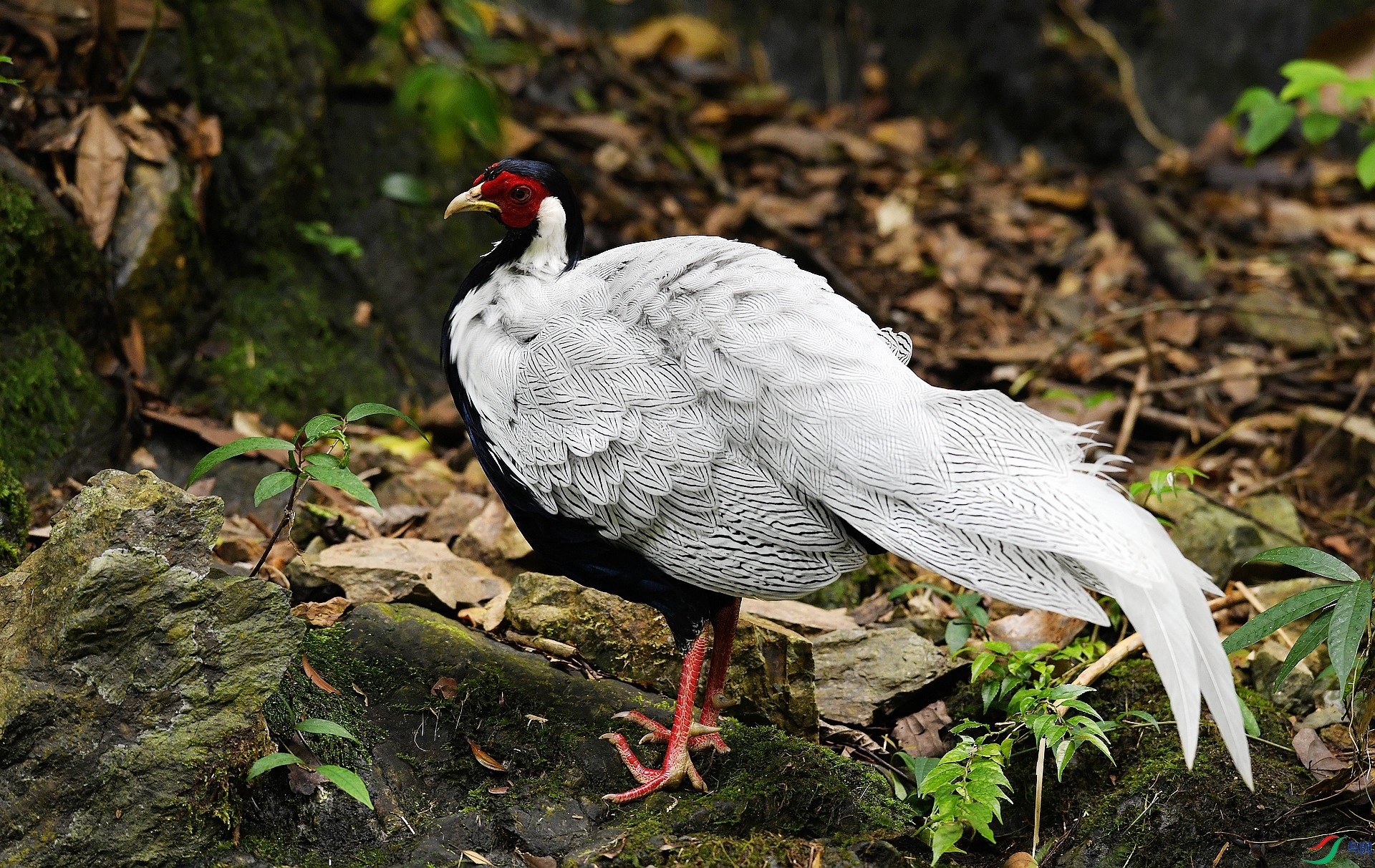 DSC_3024.jpg