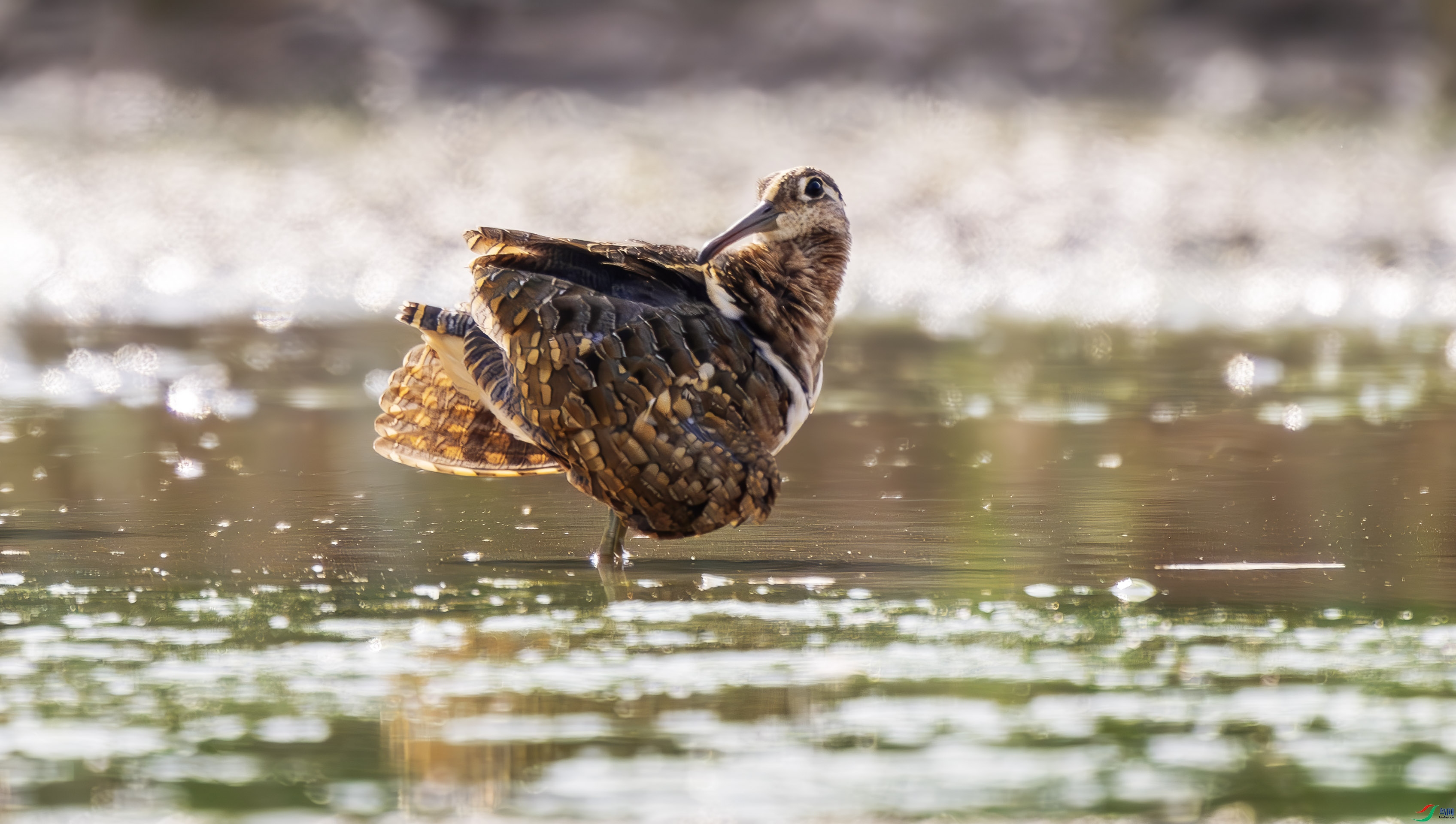 �������