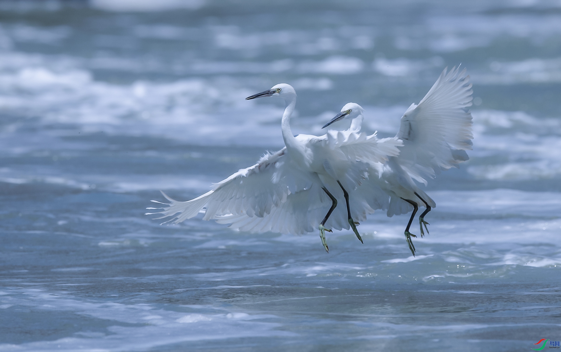 DSC_С���� - ����.jpg