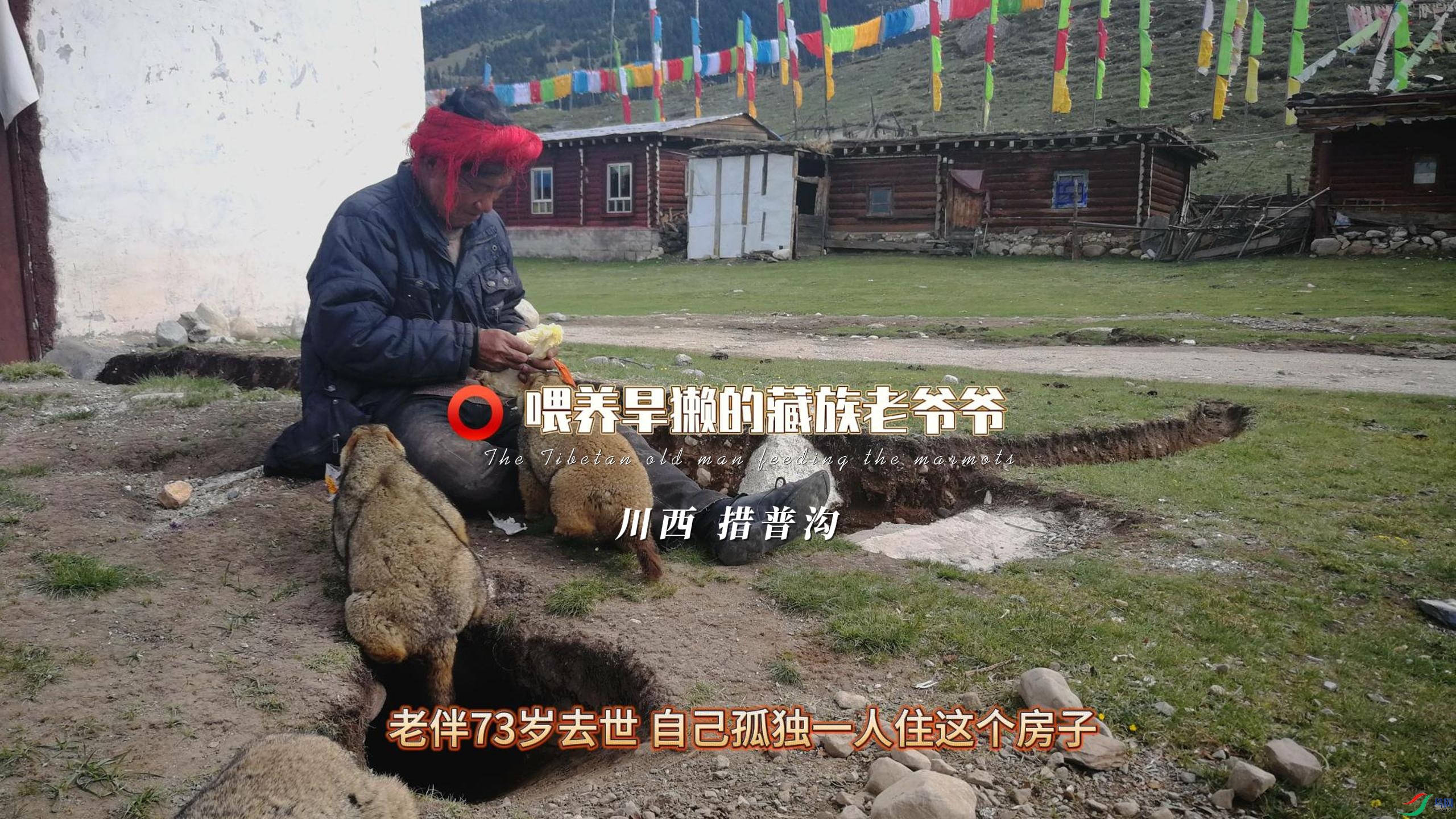 ���� ���չ� ι����̡�Ĳ�����үү-����.jpg