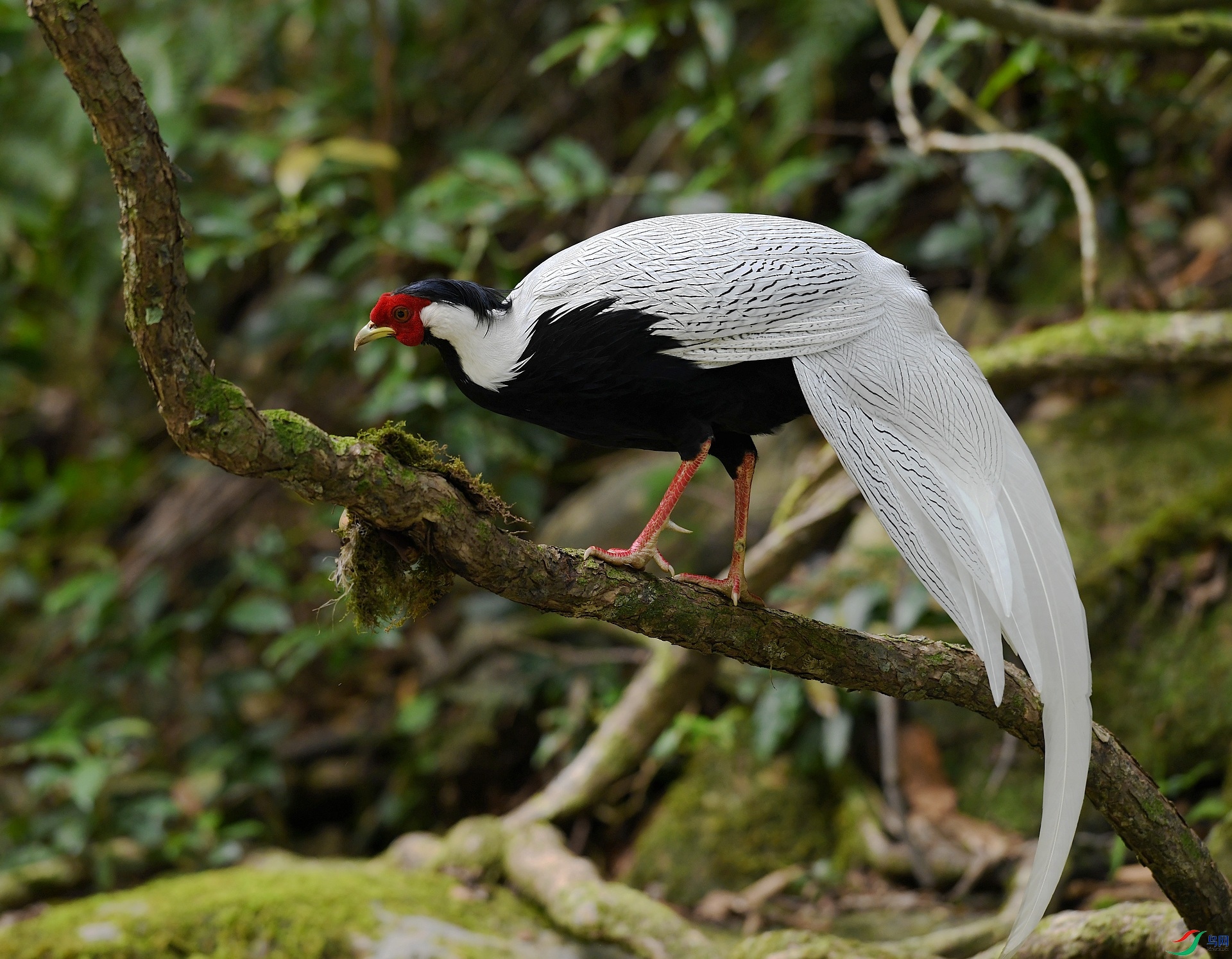 DSC_2741.jpg