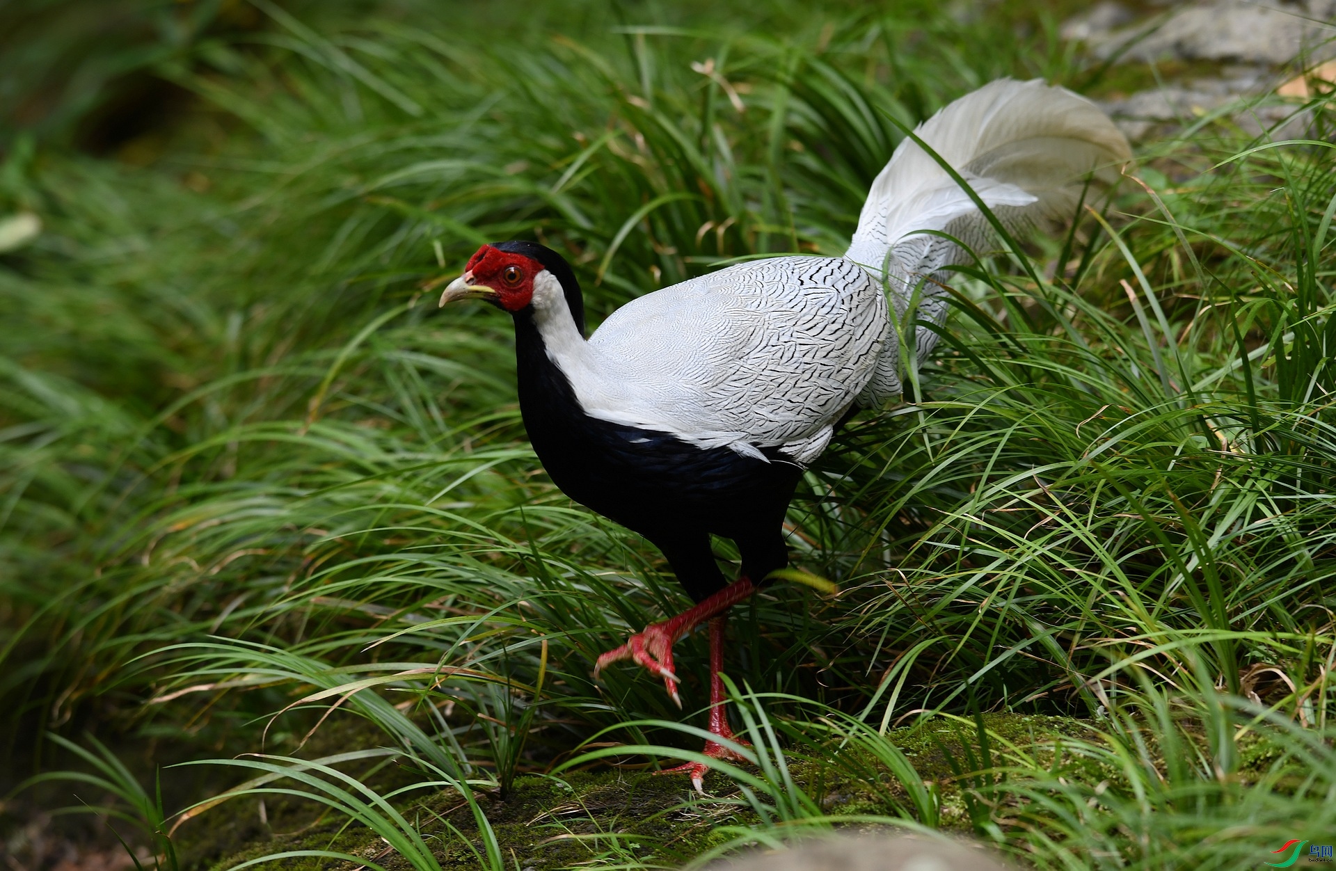 DSC_7689.jpg